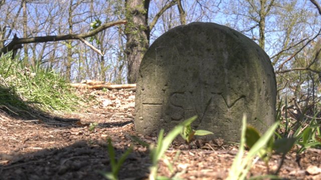 Wanderung durch Siebeneichen tvM Meissen Fernsehen