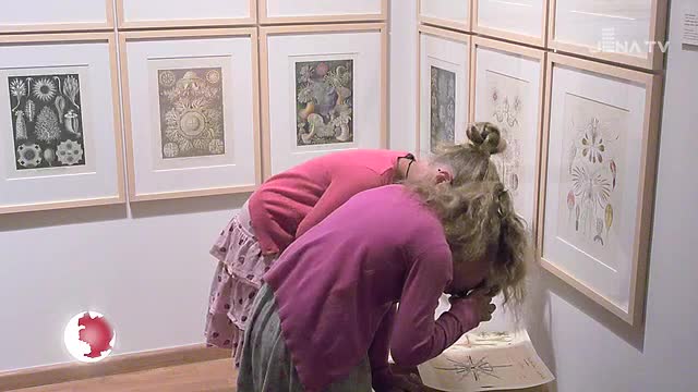 Haeckel und ein Ende: In der Kunstsammlung gab es eine Finissage der besonderen Art