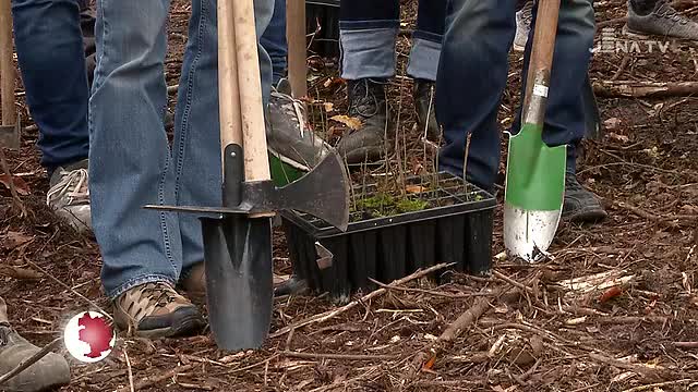 JenaJournal vom 07.11.2019