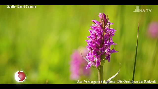 JenaJournal vom 21.01.2020