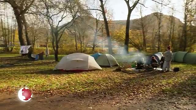 Klimacamp errichtet: Im Paradiespark wird gegen Rodungen in Hessen demonstriert 
