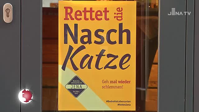 November-Lockdown: Die Initiative Innenstadt ruft zur Unterstützung der lokalen Unternehmen auf