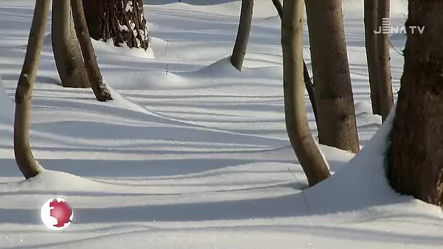 Winterzauber eingefangen: Welche schönen Seiten die aktuelle Wetterlage hat 