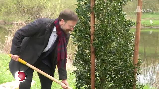 Baum des Jahres: Im Landschaftspark Saalebogen wurde heute eine Stechpalme gepflanzt