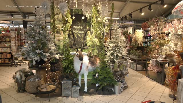 INSIGHT Rudolstädter Wohngarten INSIGHT Rudolstädter Wohngarten