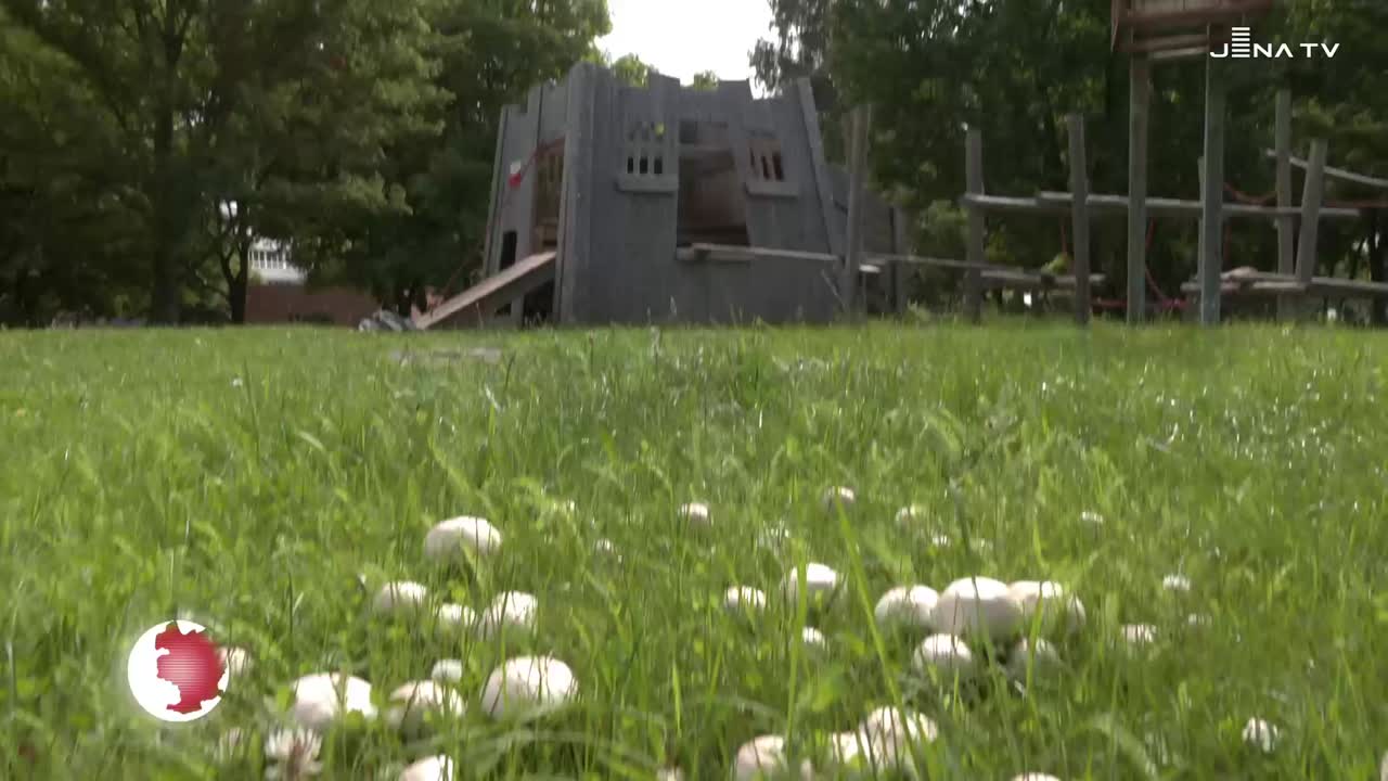 Crowdfunding – Kita Kinderzeit braucht einen überdachten Sitzplatz