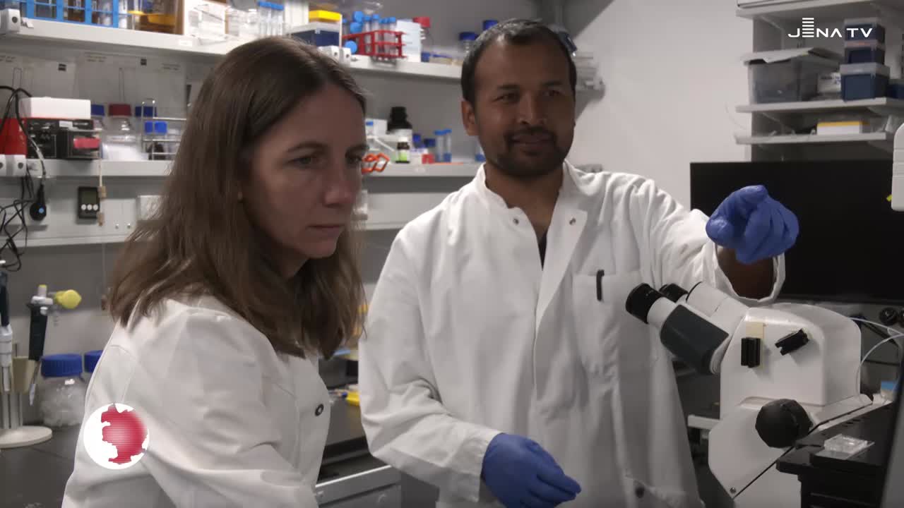 Macht der Kleinsten – Exzellenzcluster erforscht mikrobielle Gemeinschaften