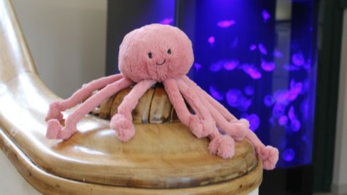 Aktionsprogramme für Kinder im Phyletischen Museum