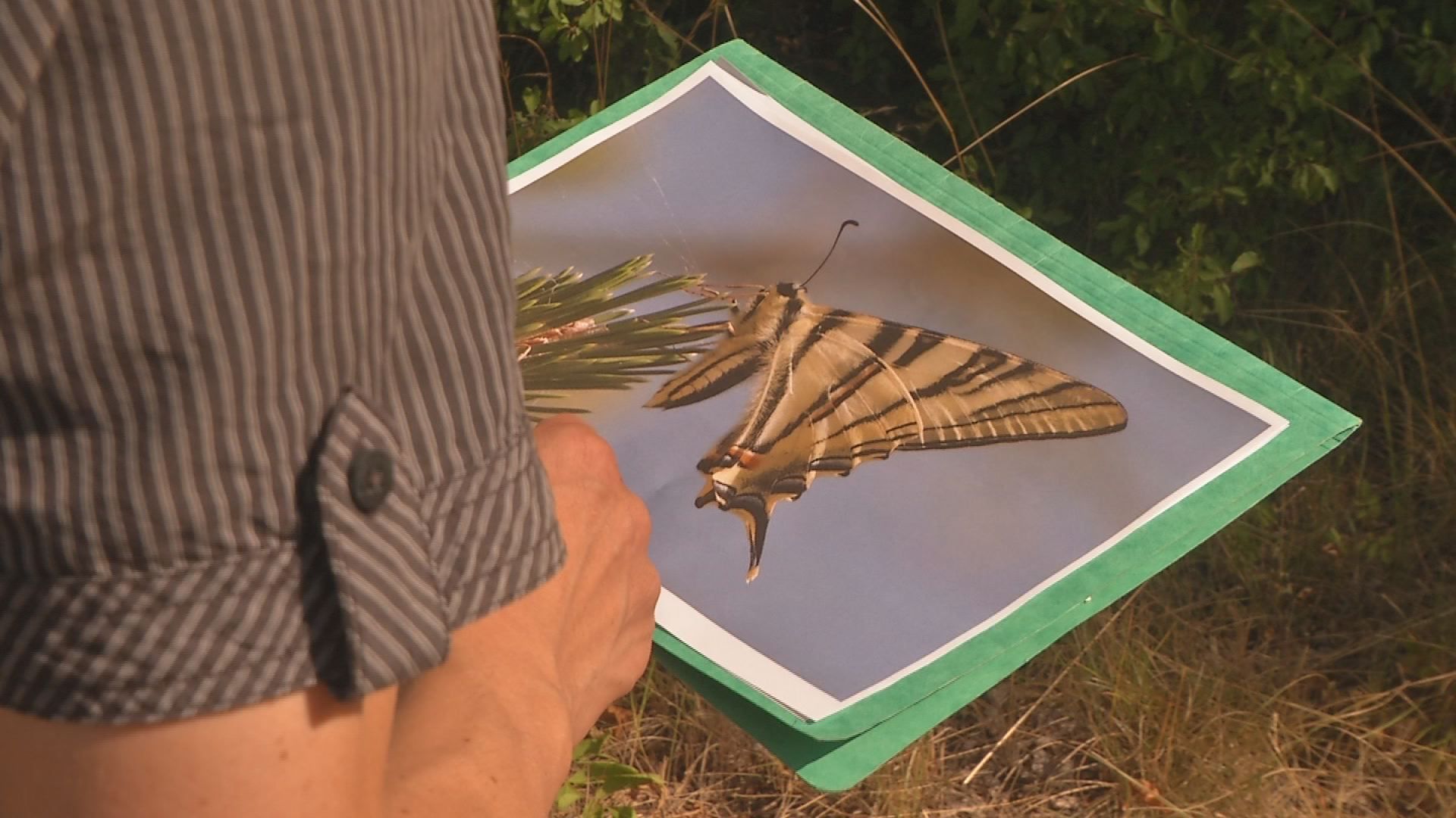 Geschützt: Wie in Jena für Artenvielfalt und Naturschutz gesorgt wird