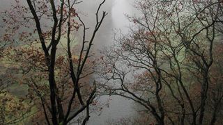 Klimaschutzmanager der Stadt Gera berät