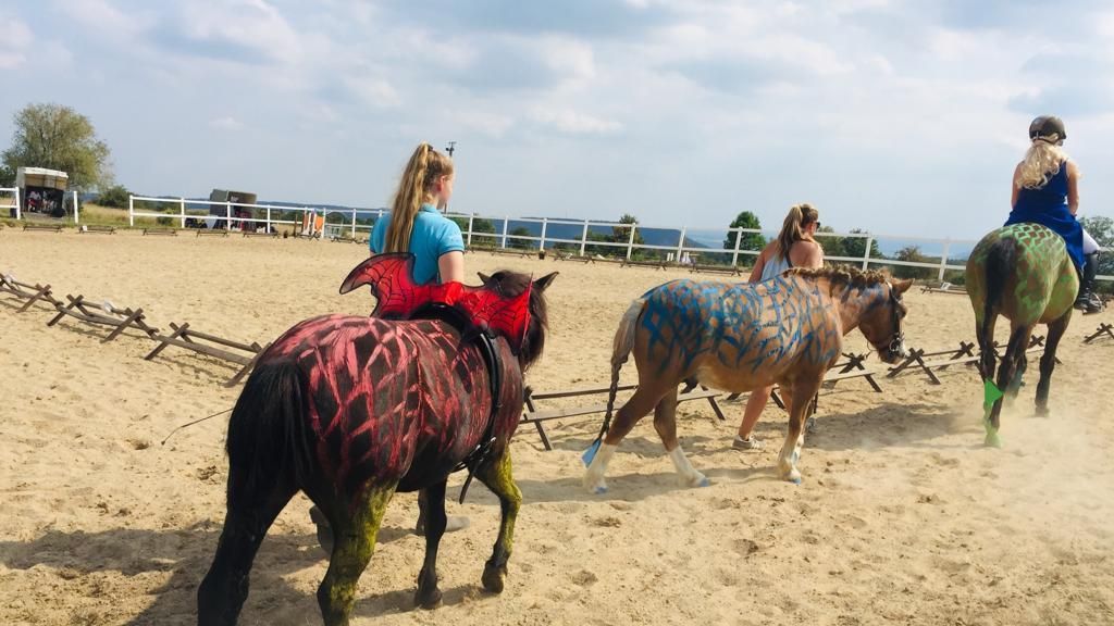 Breitensport-Reit-Turnier mit guter Resonanz