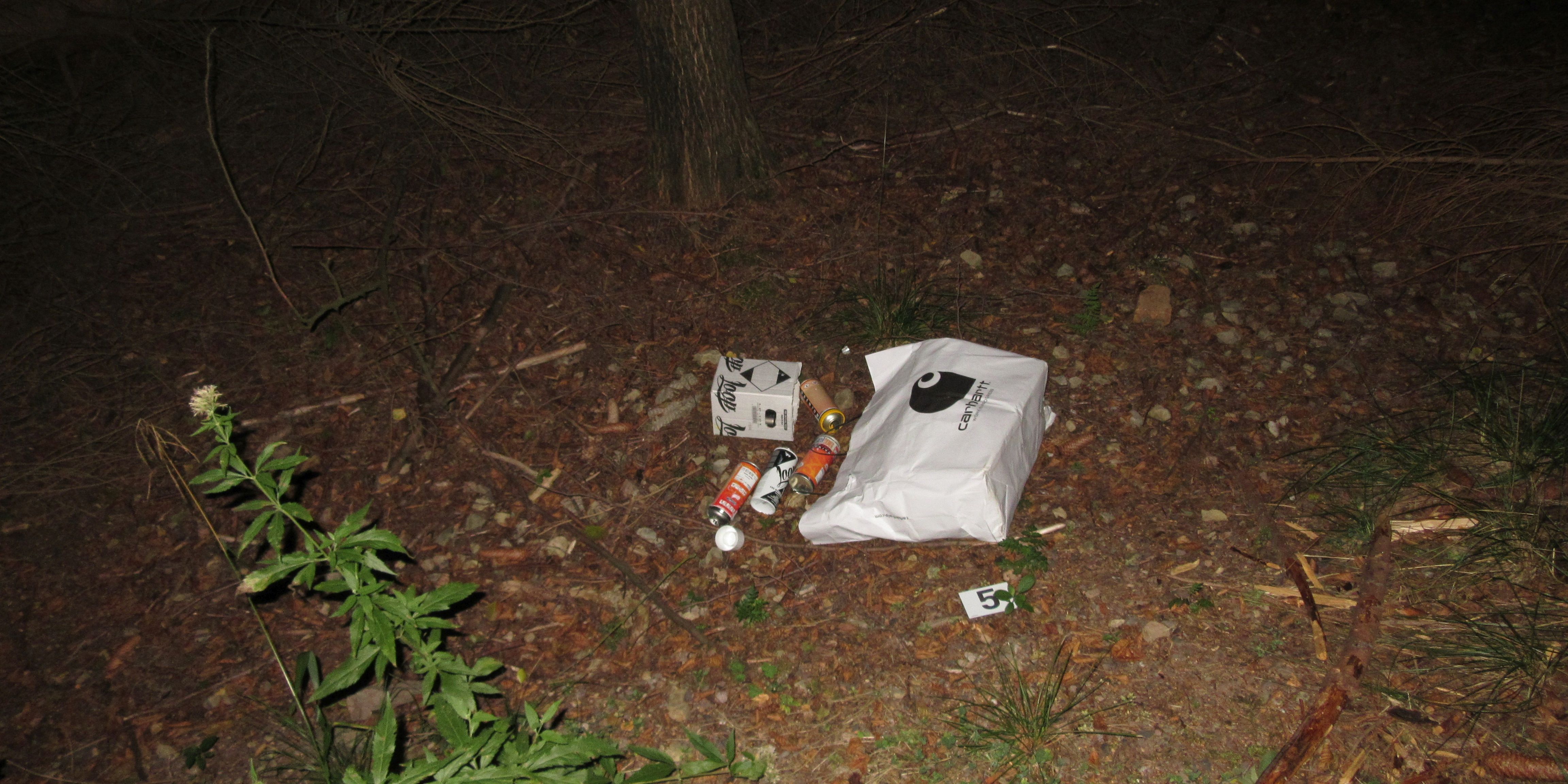 Sachbeschädigung durch Graffiti