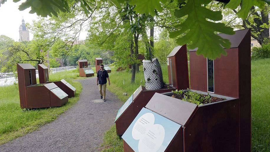 Falternacht und Kochschule im Grünen  