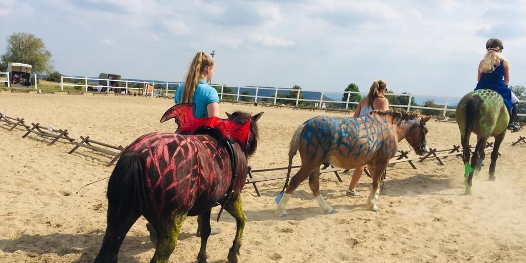 Breitensport-Reit-Turnier mit guter Resonanz