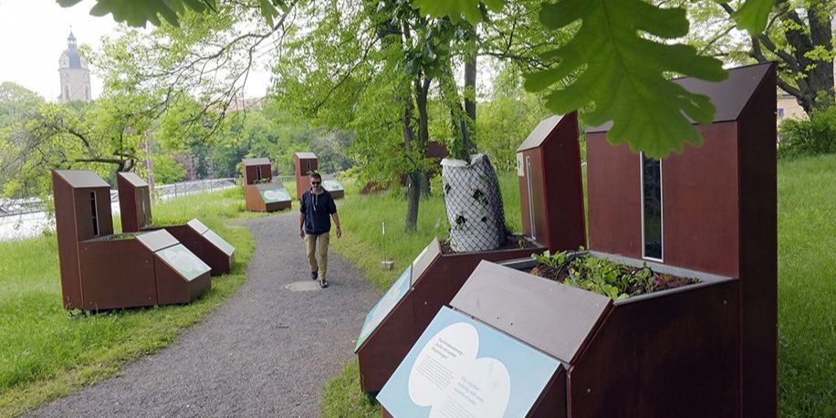 Falternacht und Kochschule im Grünen  