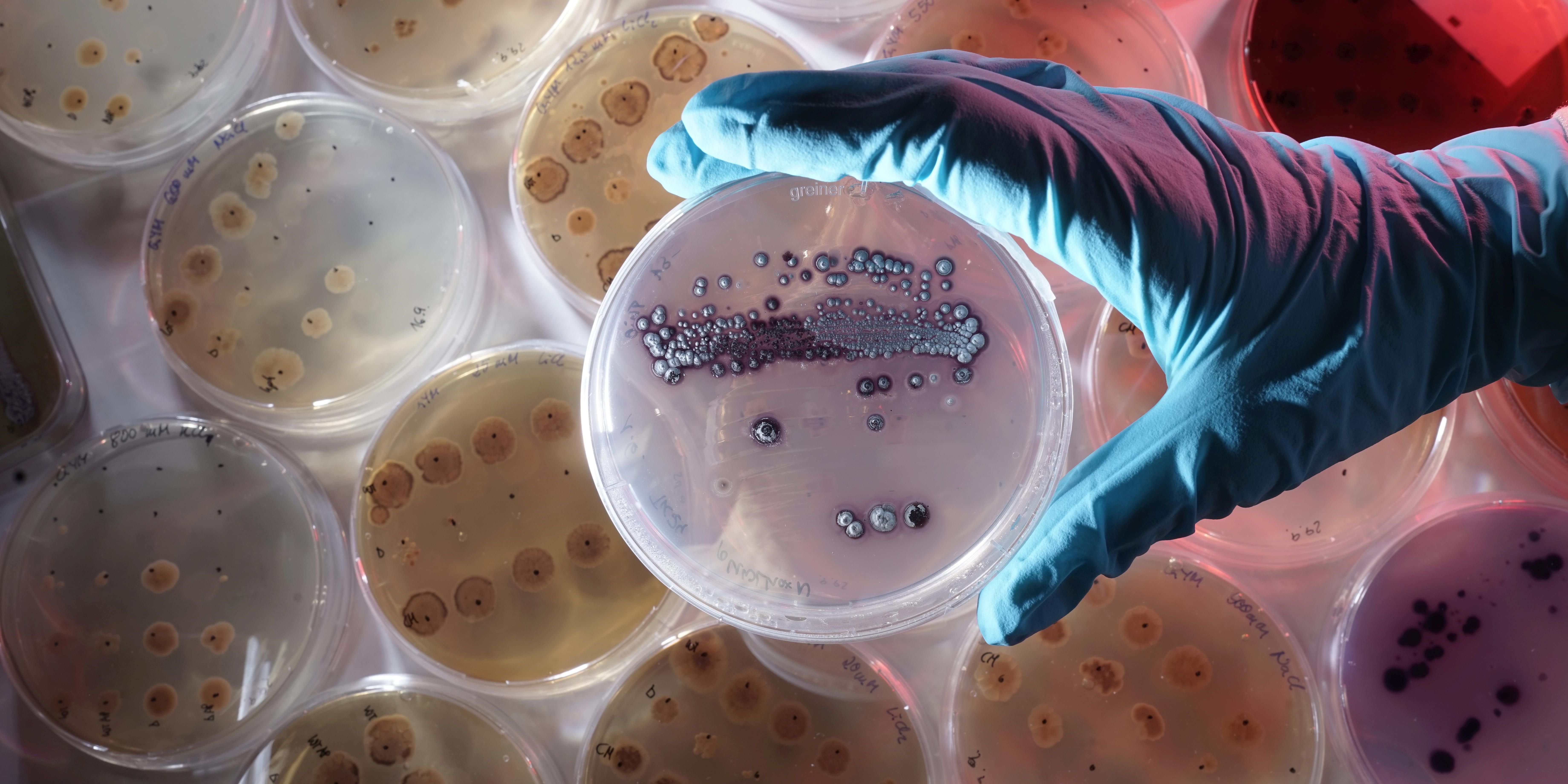 Forschungsprojekt zur Bodensanierung bei Ronneburg 