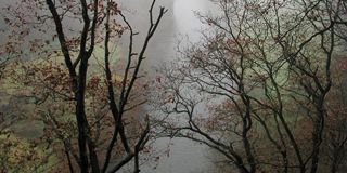 Klimaschutzmanager der Stadt Gera berät