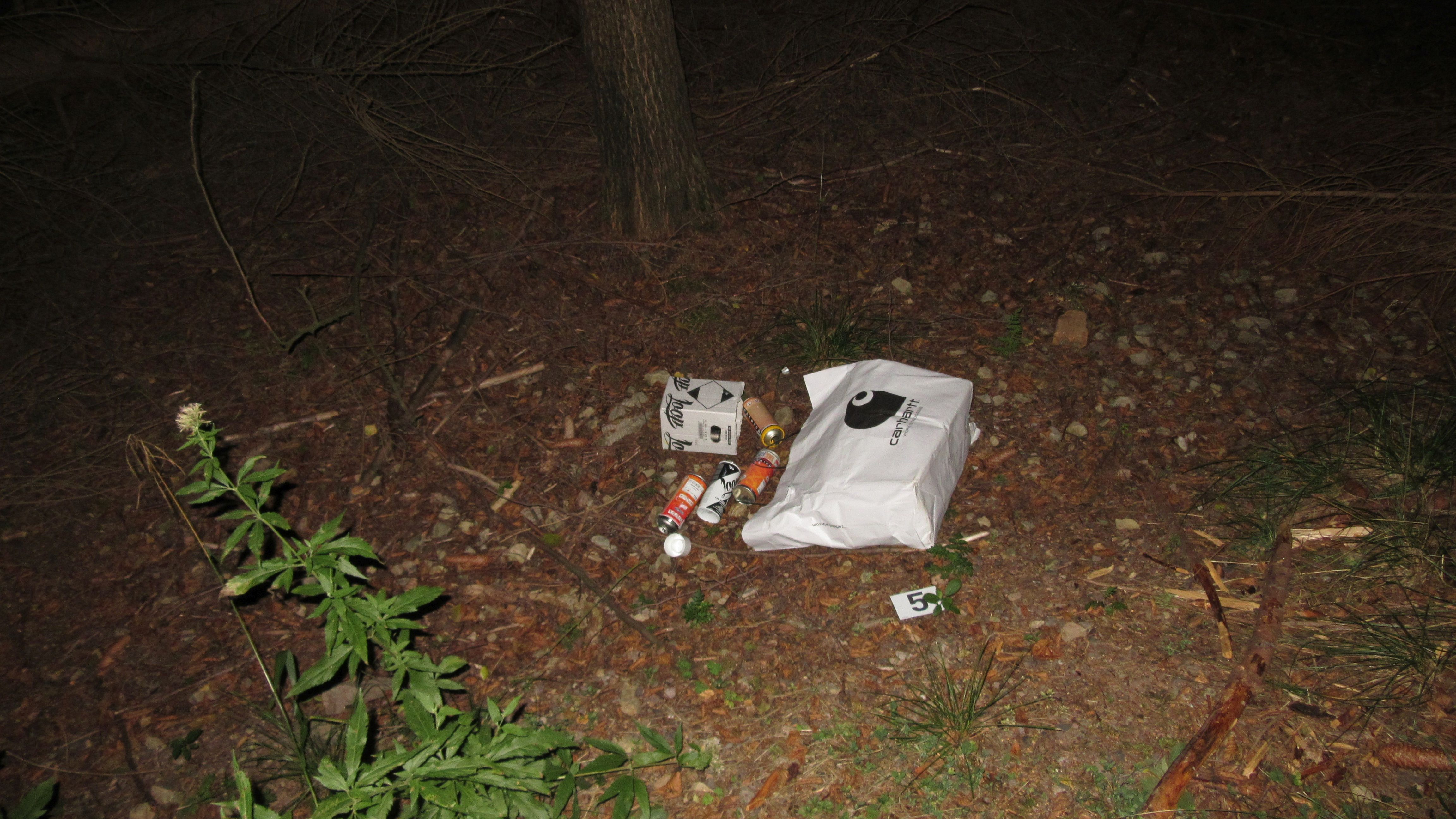 Sachbeschädigung durch Graffiti