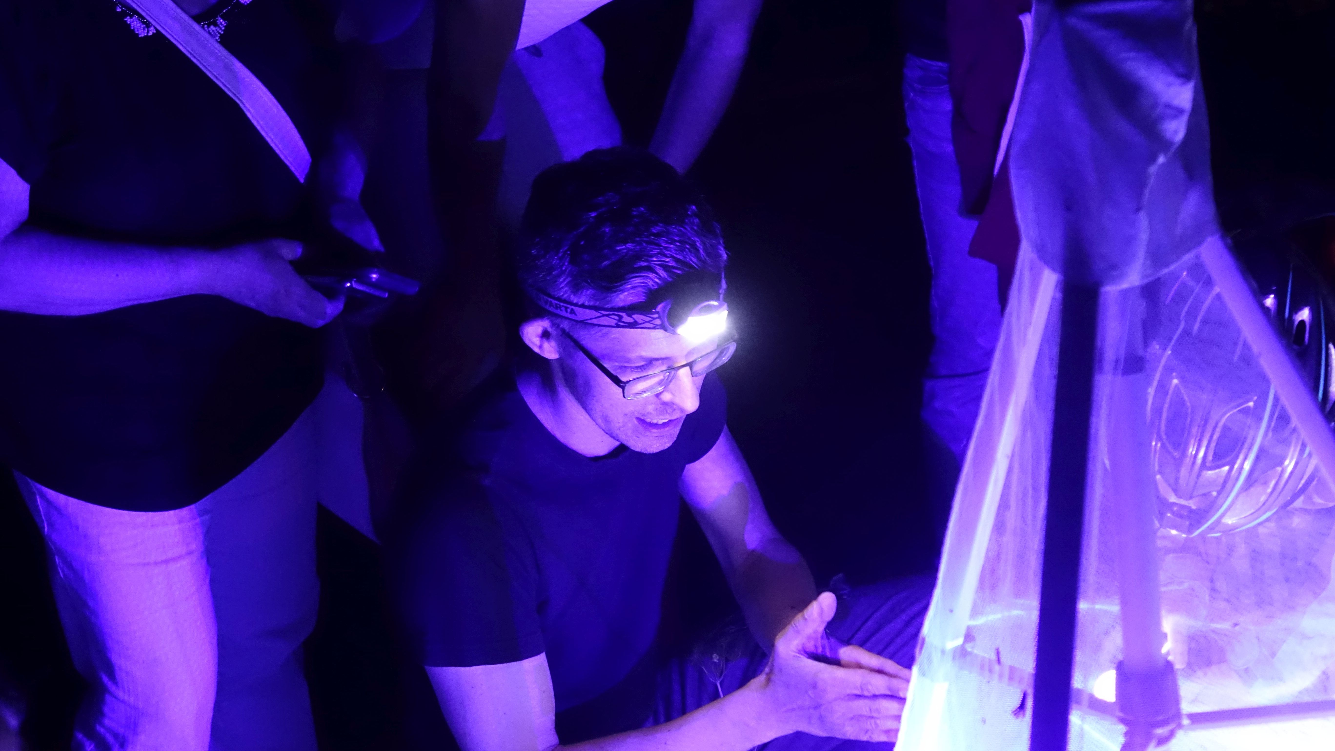 Zweite Jenaer Falternacht gut besucht