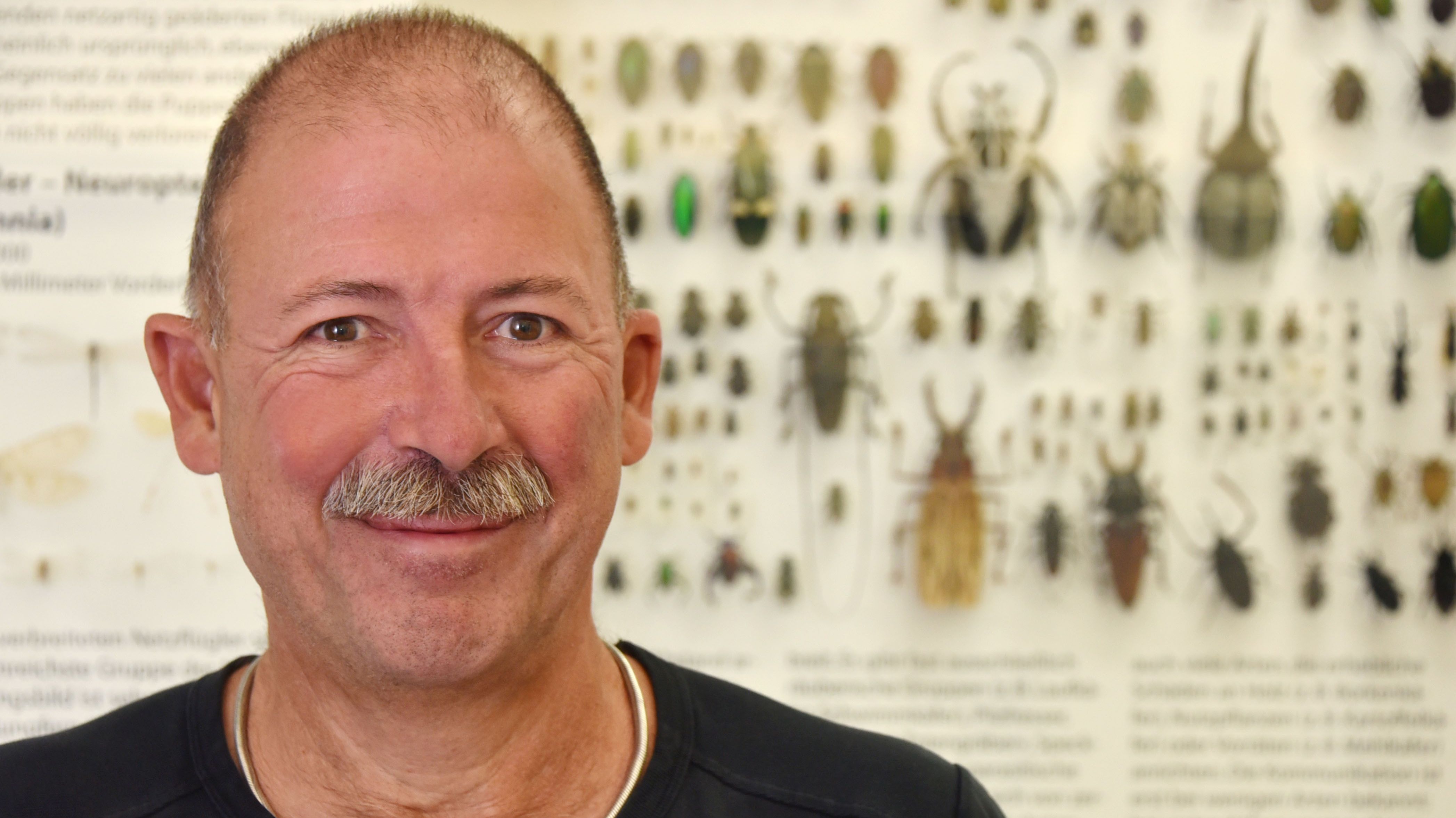 Jenaer Professor erhält Preis für Entomologie