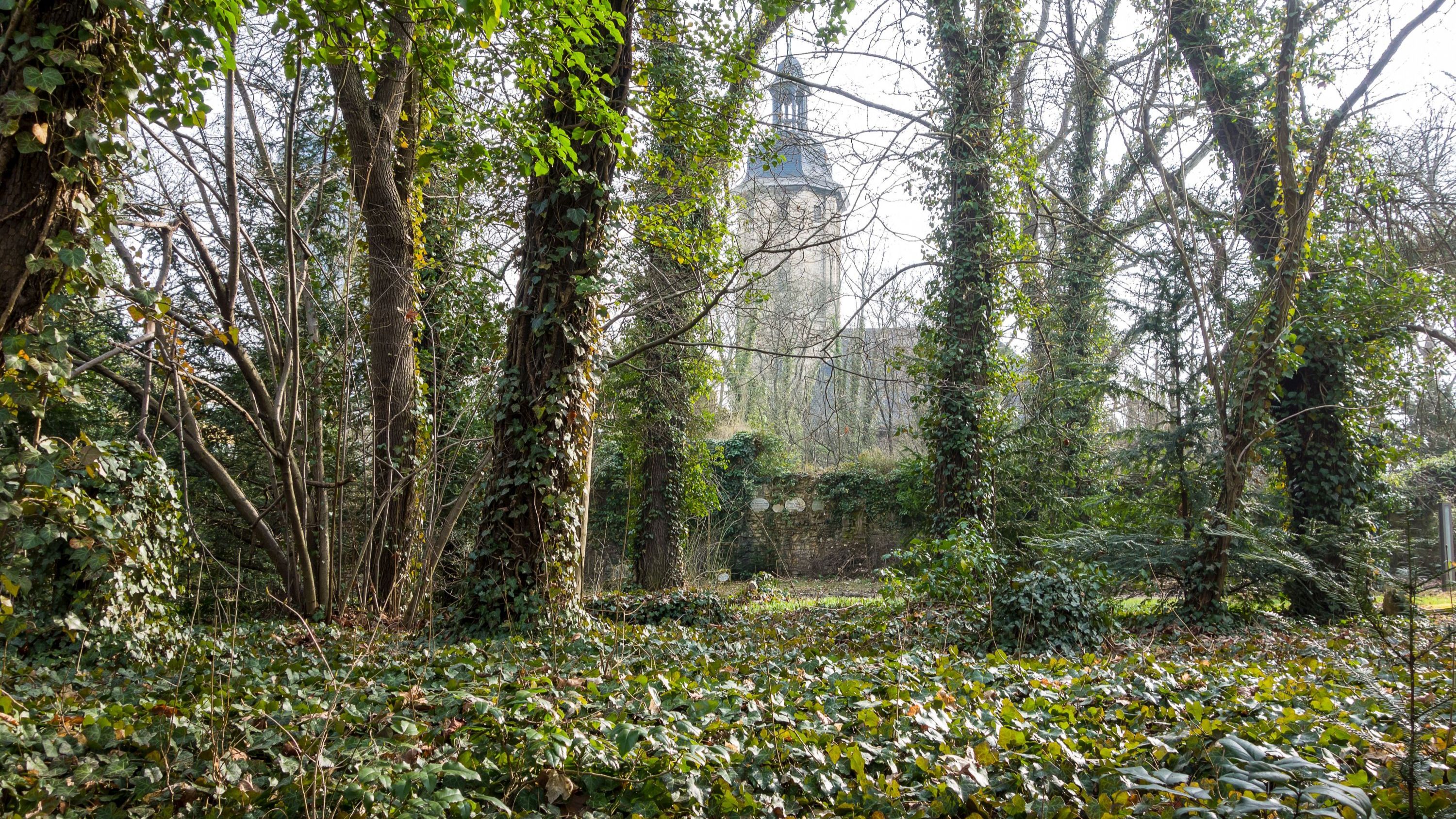 15. Jenaer Freiwilligentag am 14. September