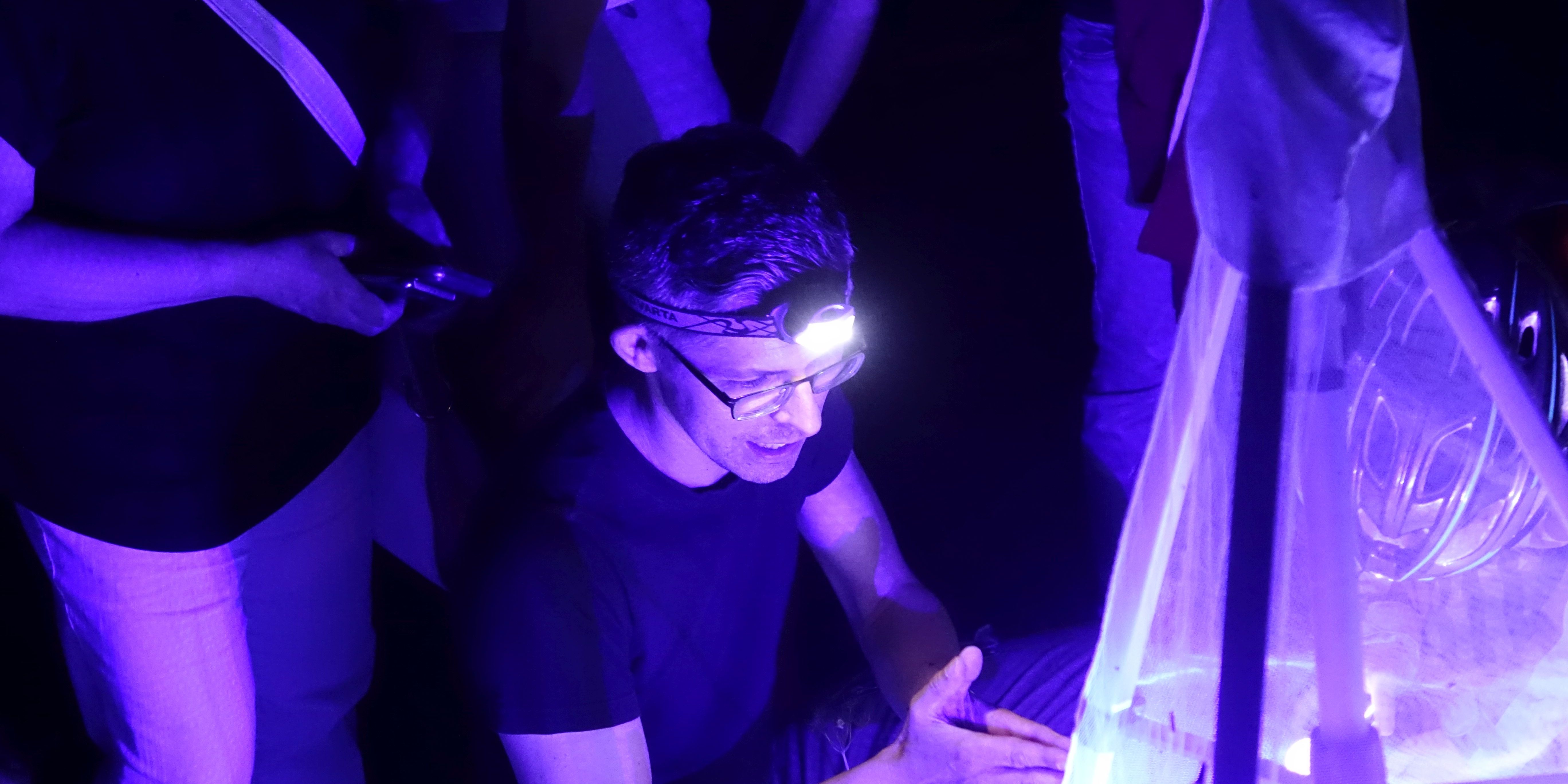 Zweite Jenaer Falternacht gut besucht