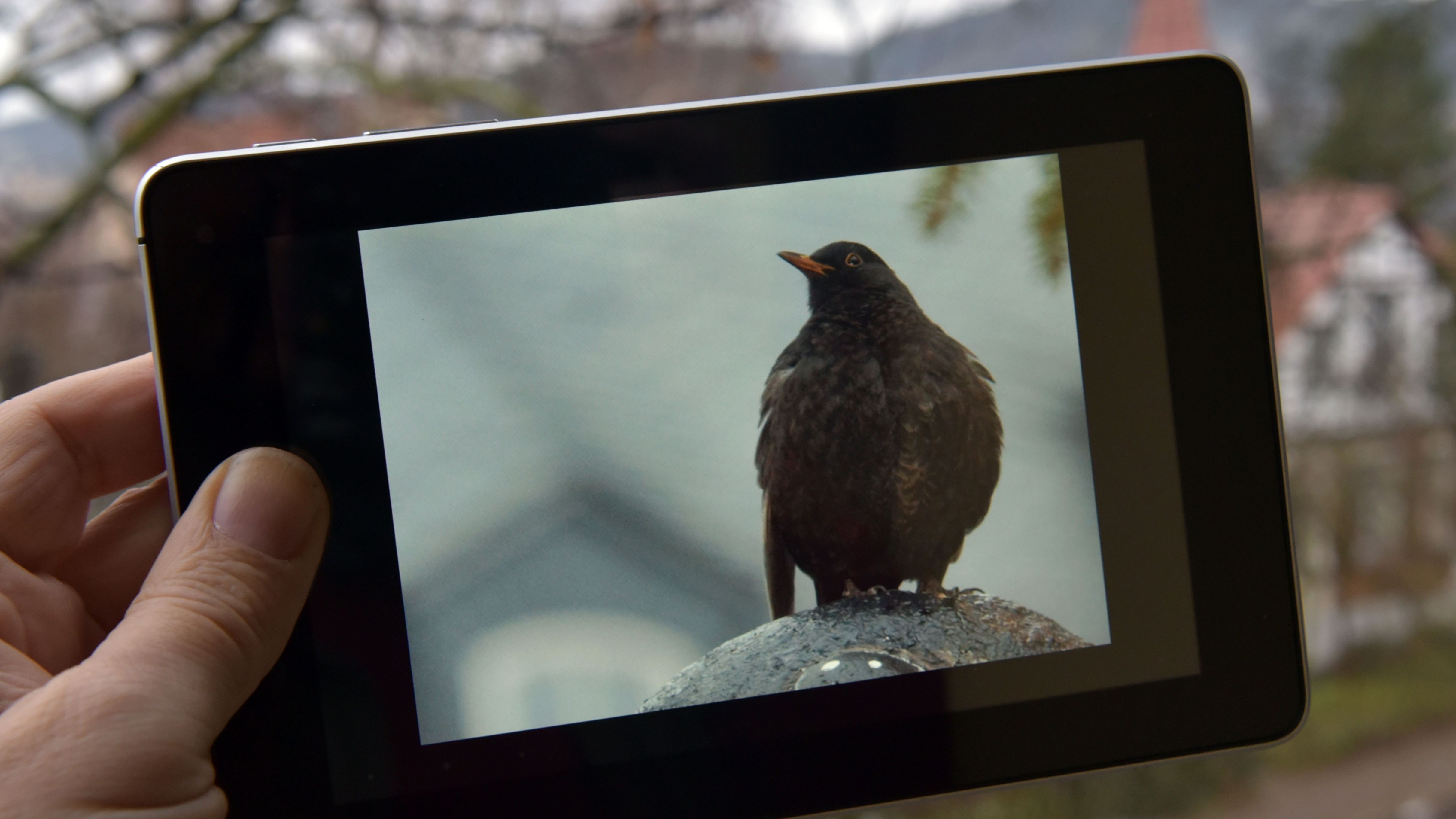 Informatiker entwickeln Algorithmus zur Objekterkennung