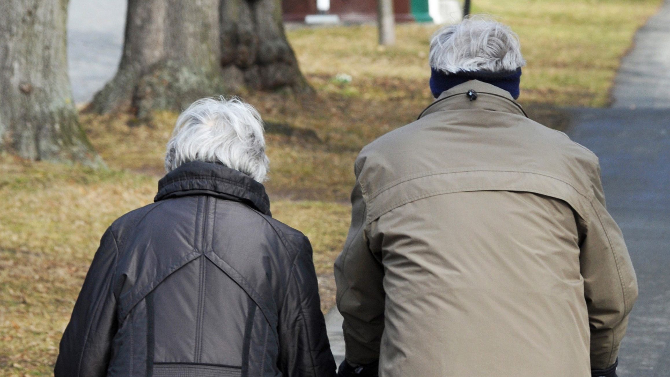 Senioren für Studie gesucht