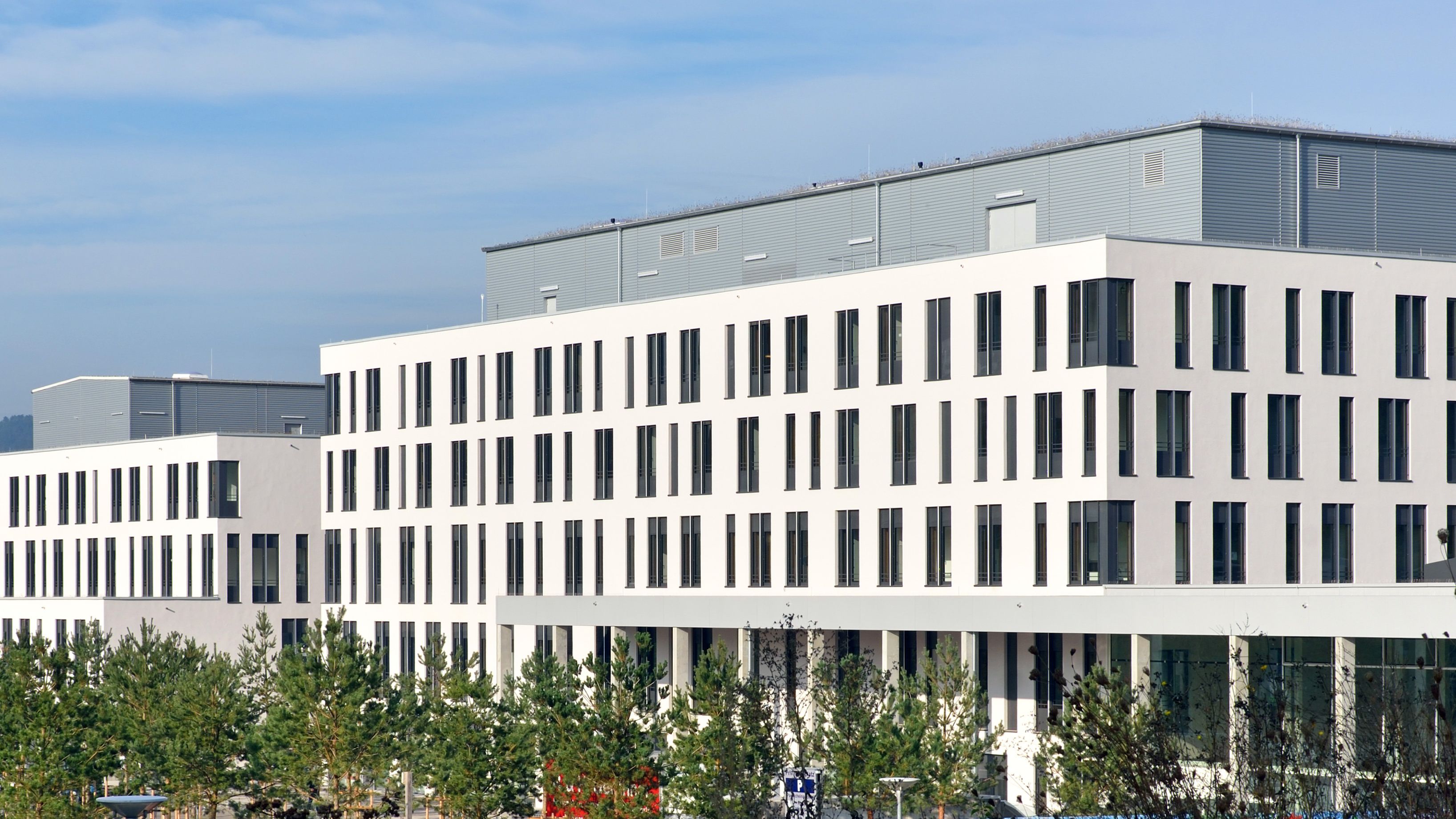 Experten informieren über Nesselsucht