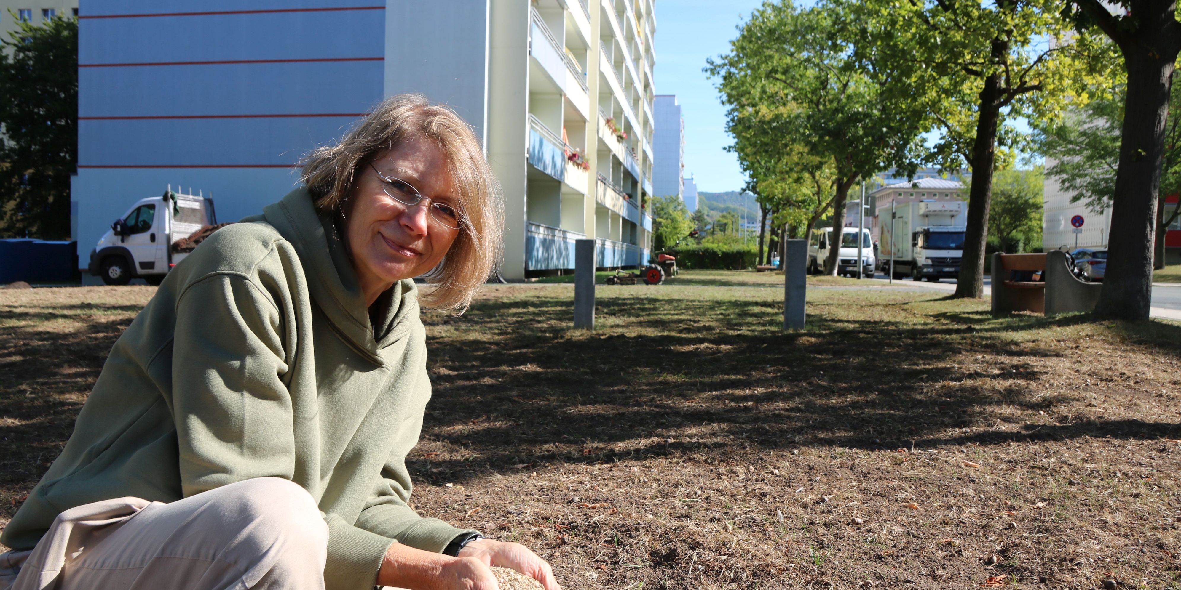 Insektenweiden entstehen