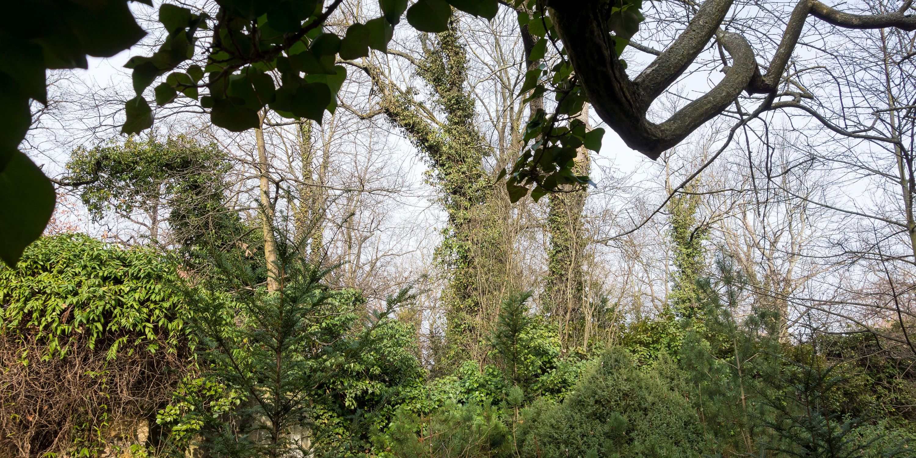 Johannismarkt am 15. September 