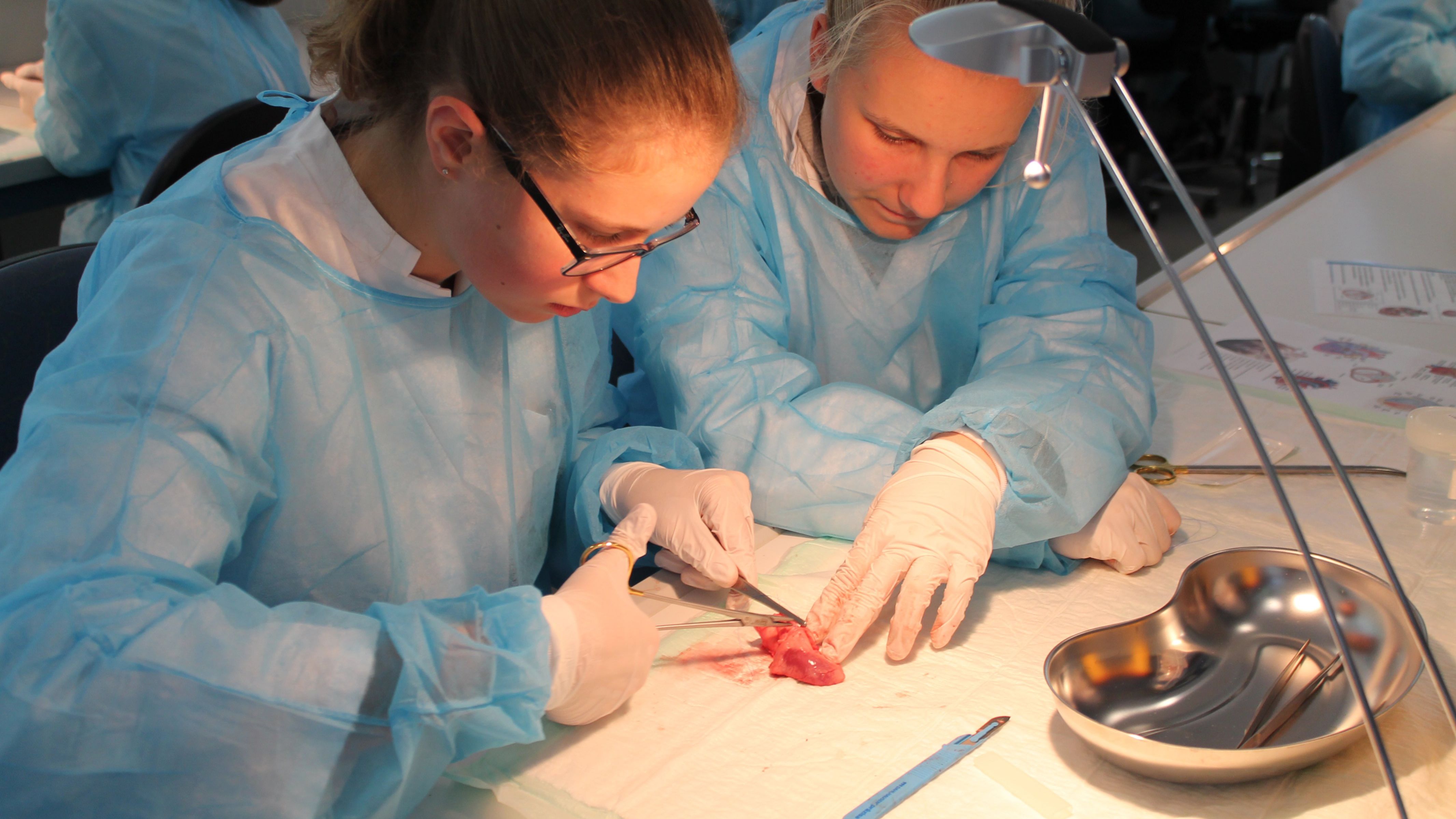 Ferienkurs im Forschungslabor