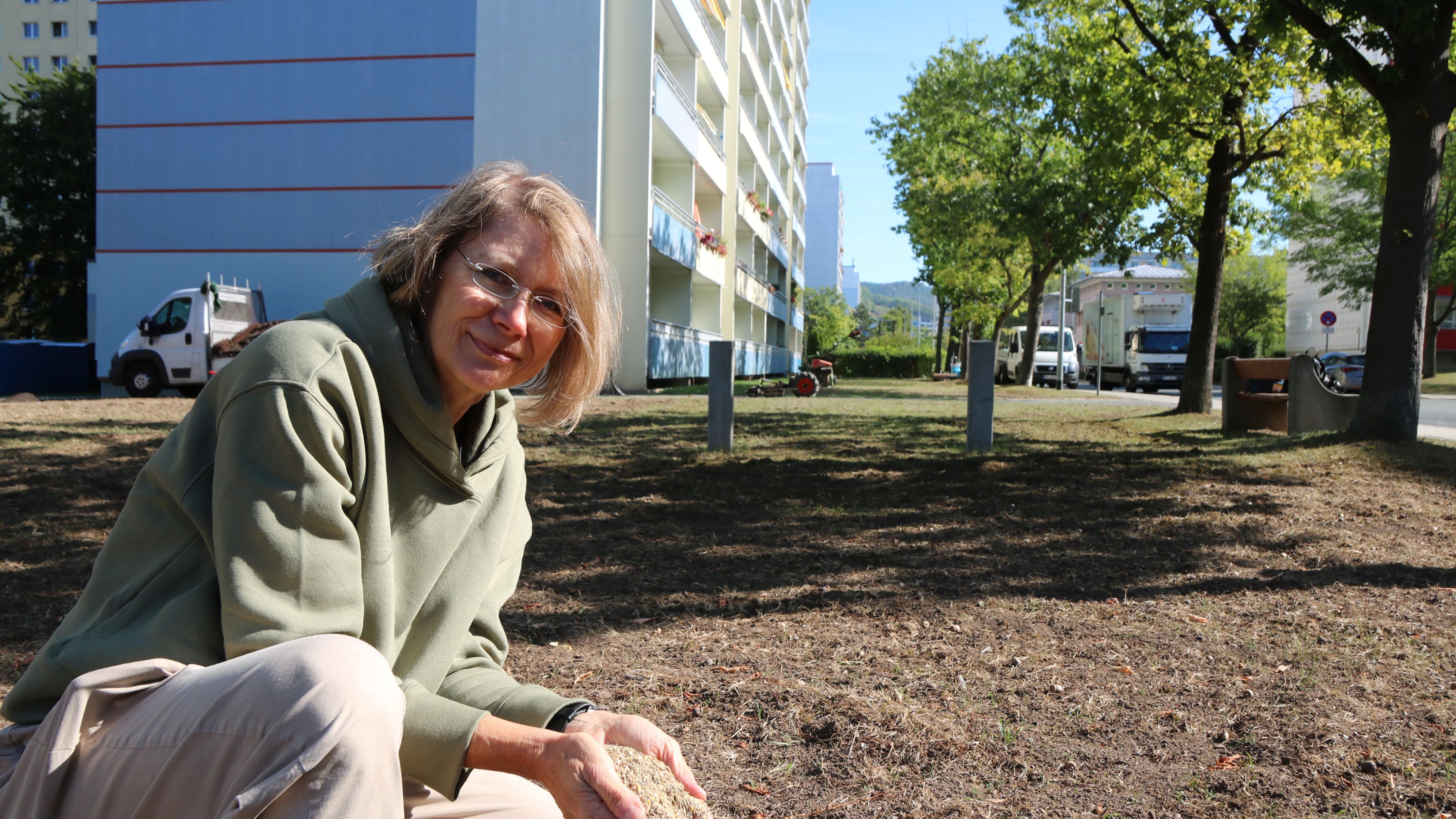 Insektenweiden entstehen