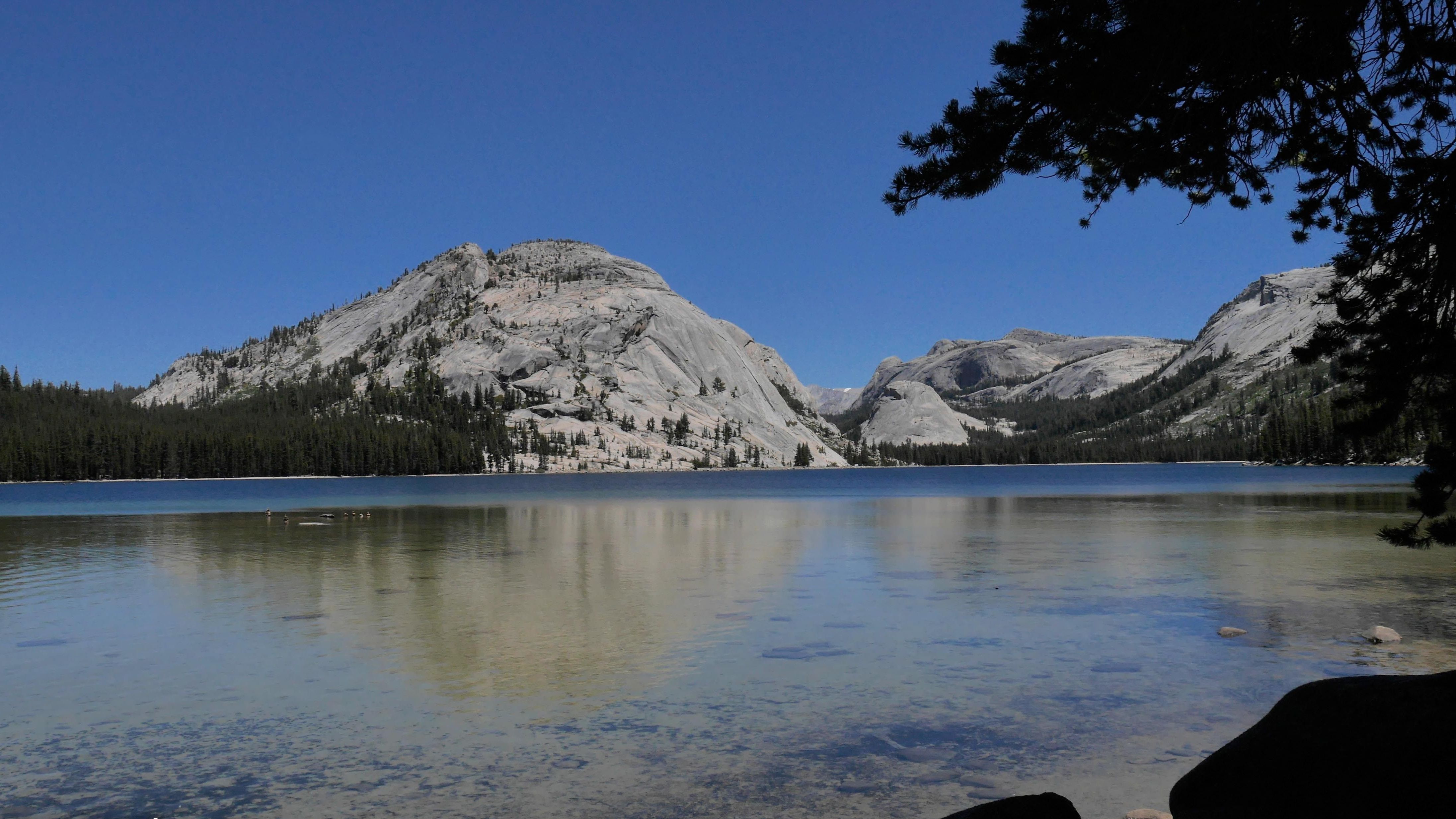 Fotografischer Blick auf die USA