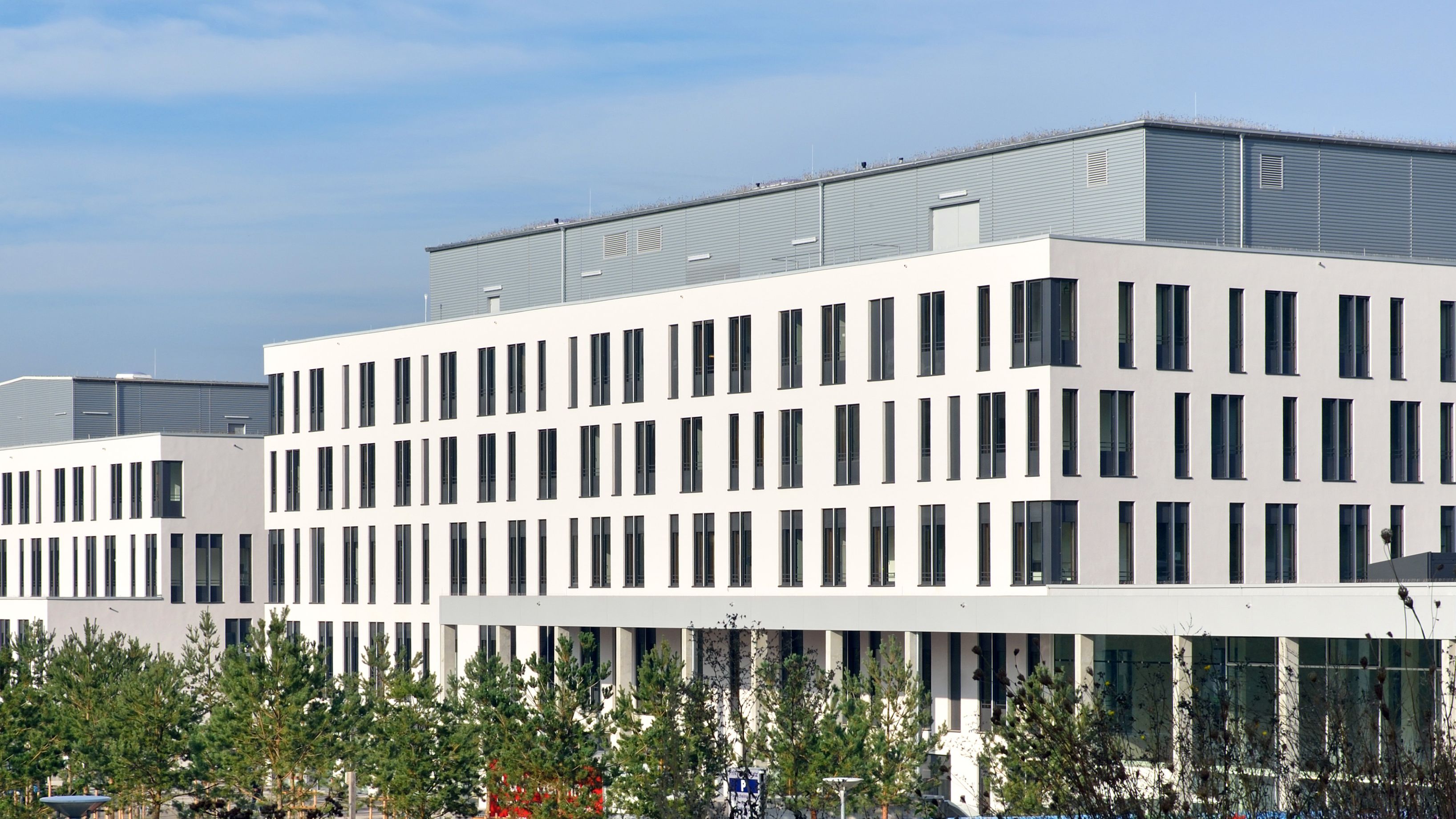 Krankheit und Tod Friedrich Schillers 