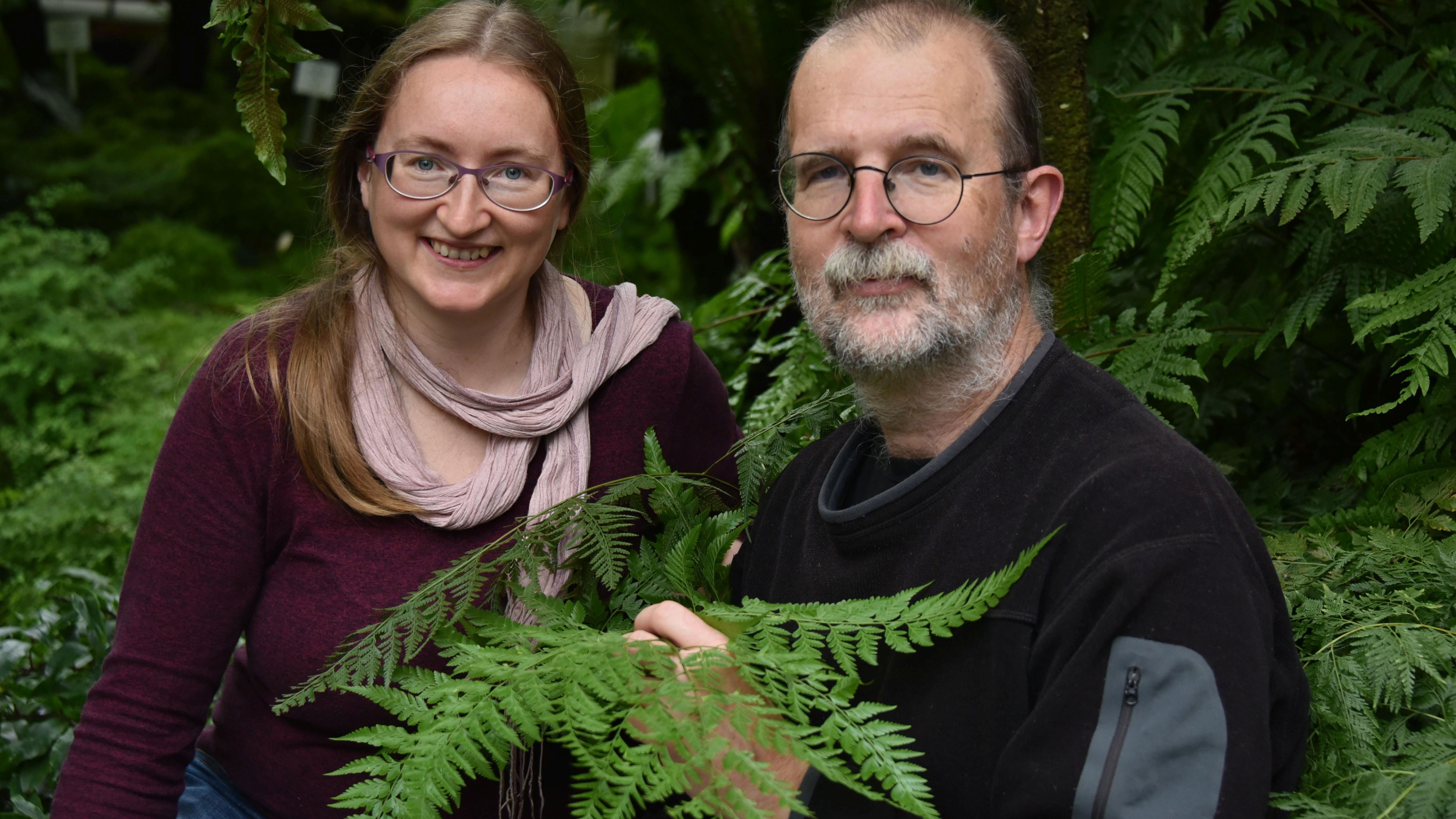 Zeitreise durch die Evolution der Landpflanzen