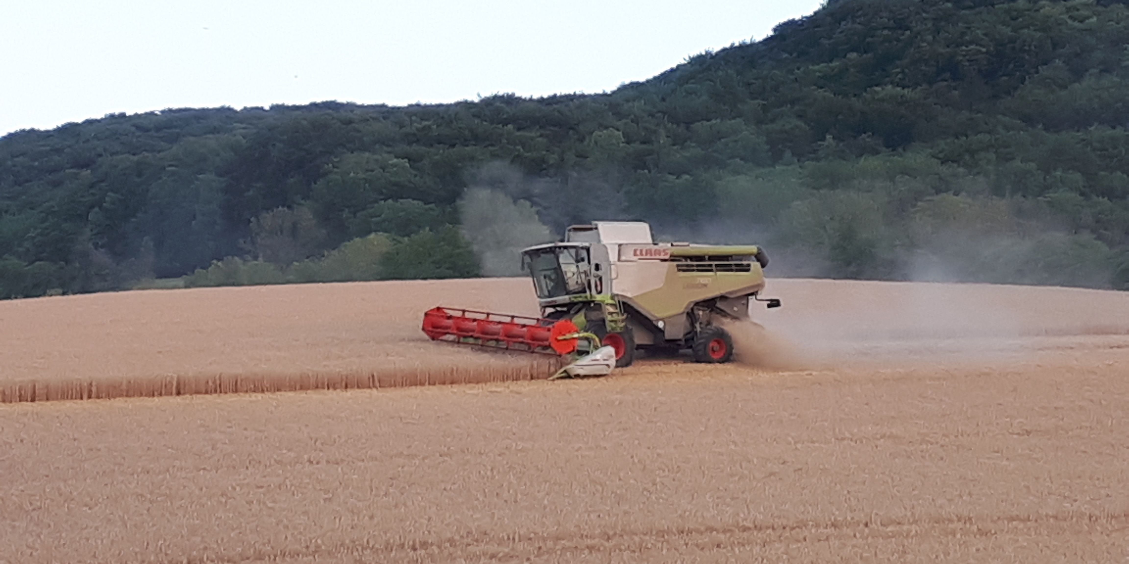 Fachschule für Agrarwirtschaft eröffnet neues Schuljahr