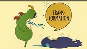 Antibiotika-Aufklärung im Trickfilm jetzt online