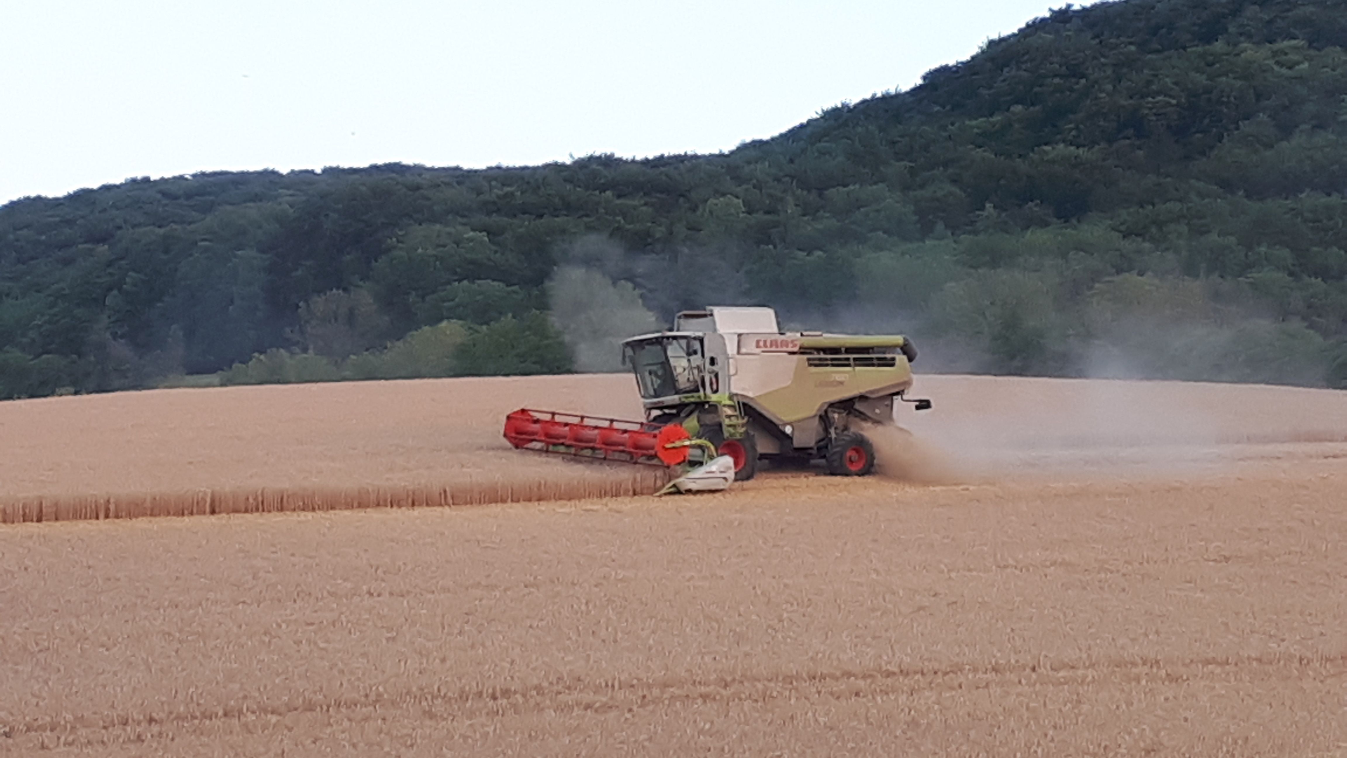 Fachschule für Agrarwirtschaft eröffnet neues Schuljahr