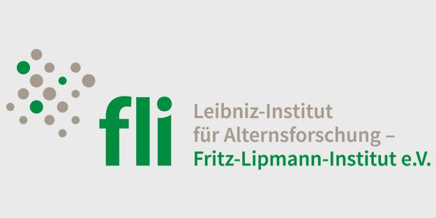 Wie sich Darmzellen erneuern 