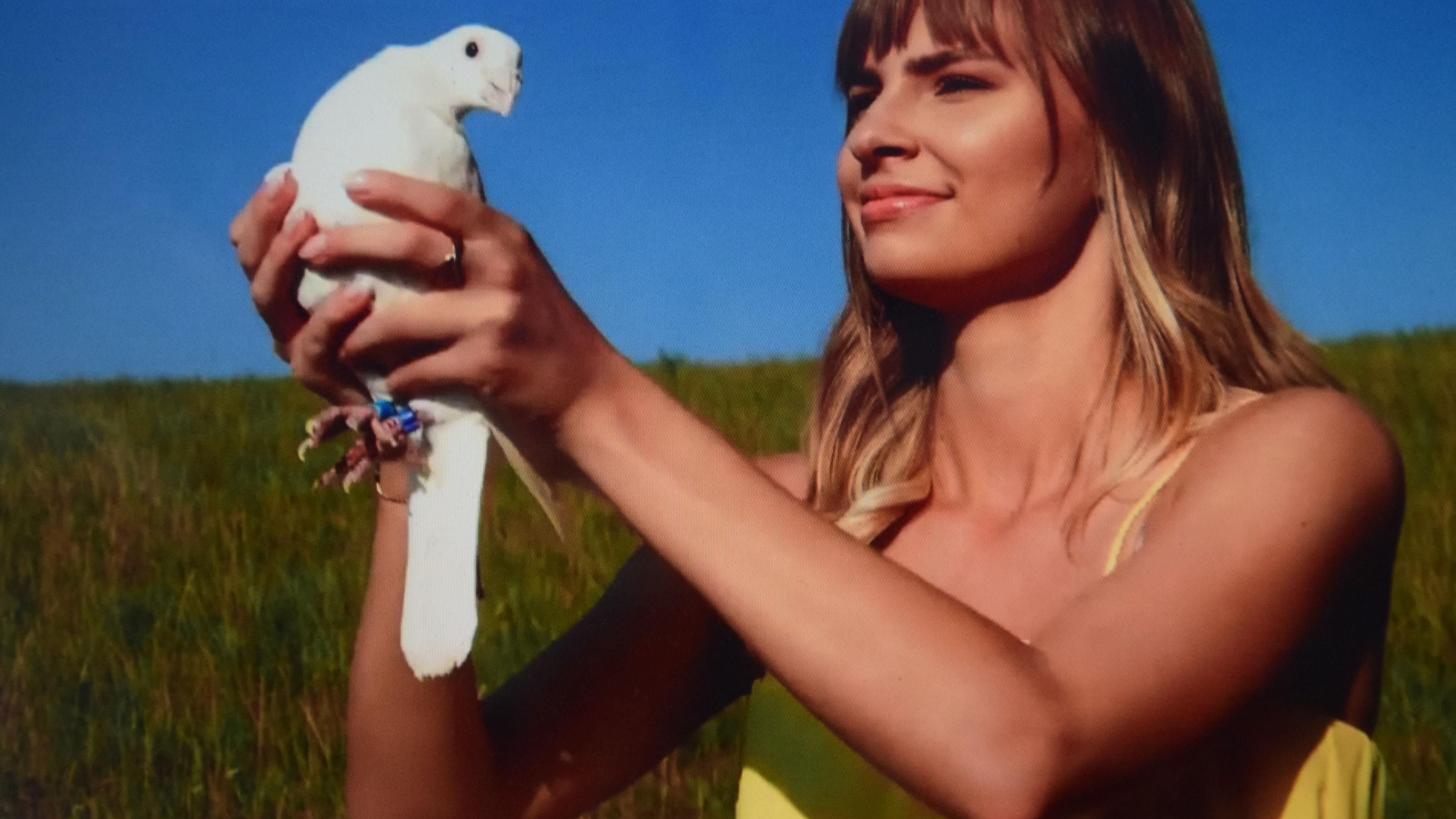 FILMthuer Festival am 2. November im Schillerhof-Kino