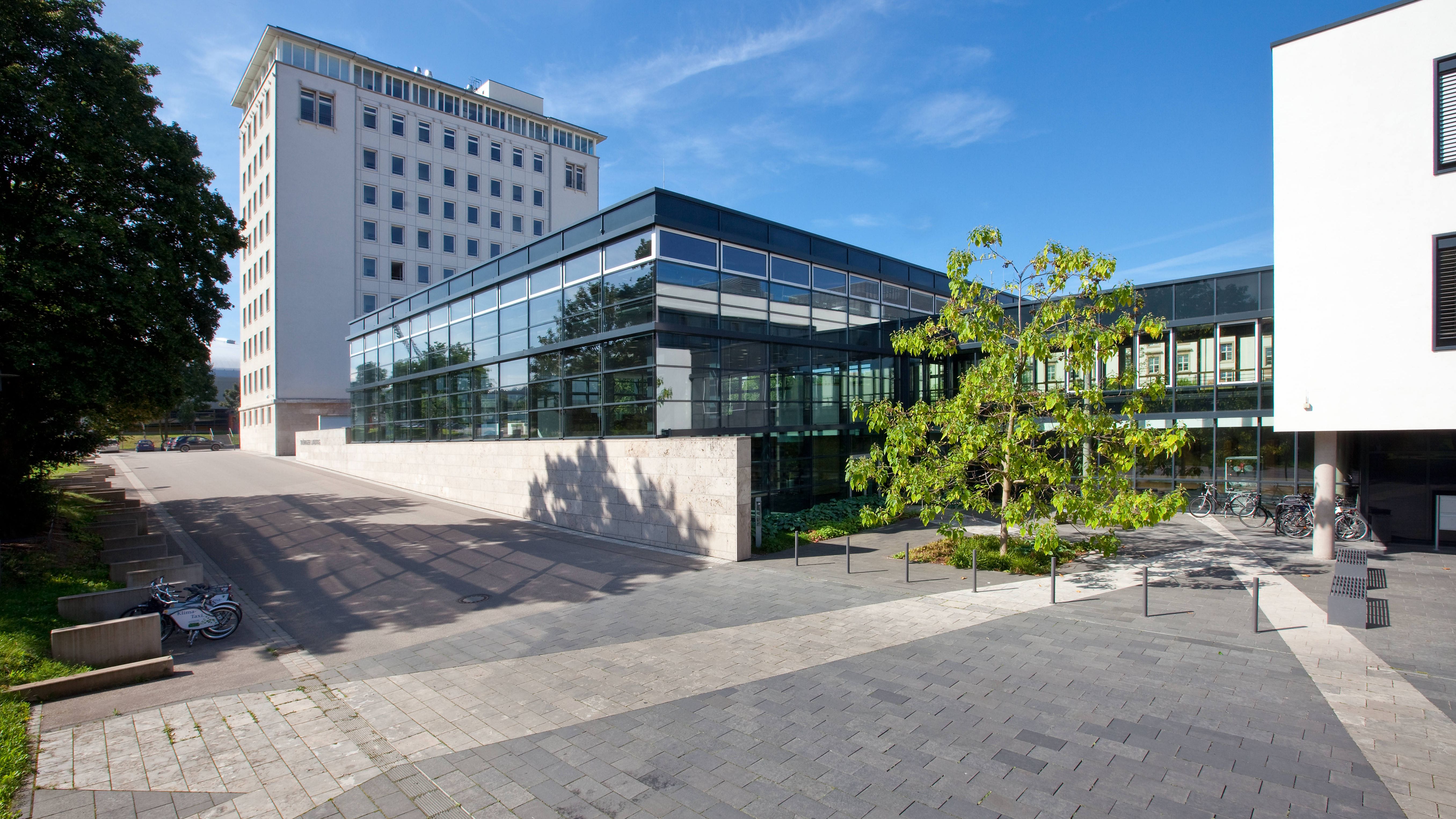 Landtagswahl: Lukin und Wolf verteidigen ihr Direktmandat