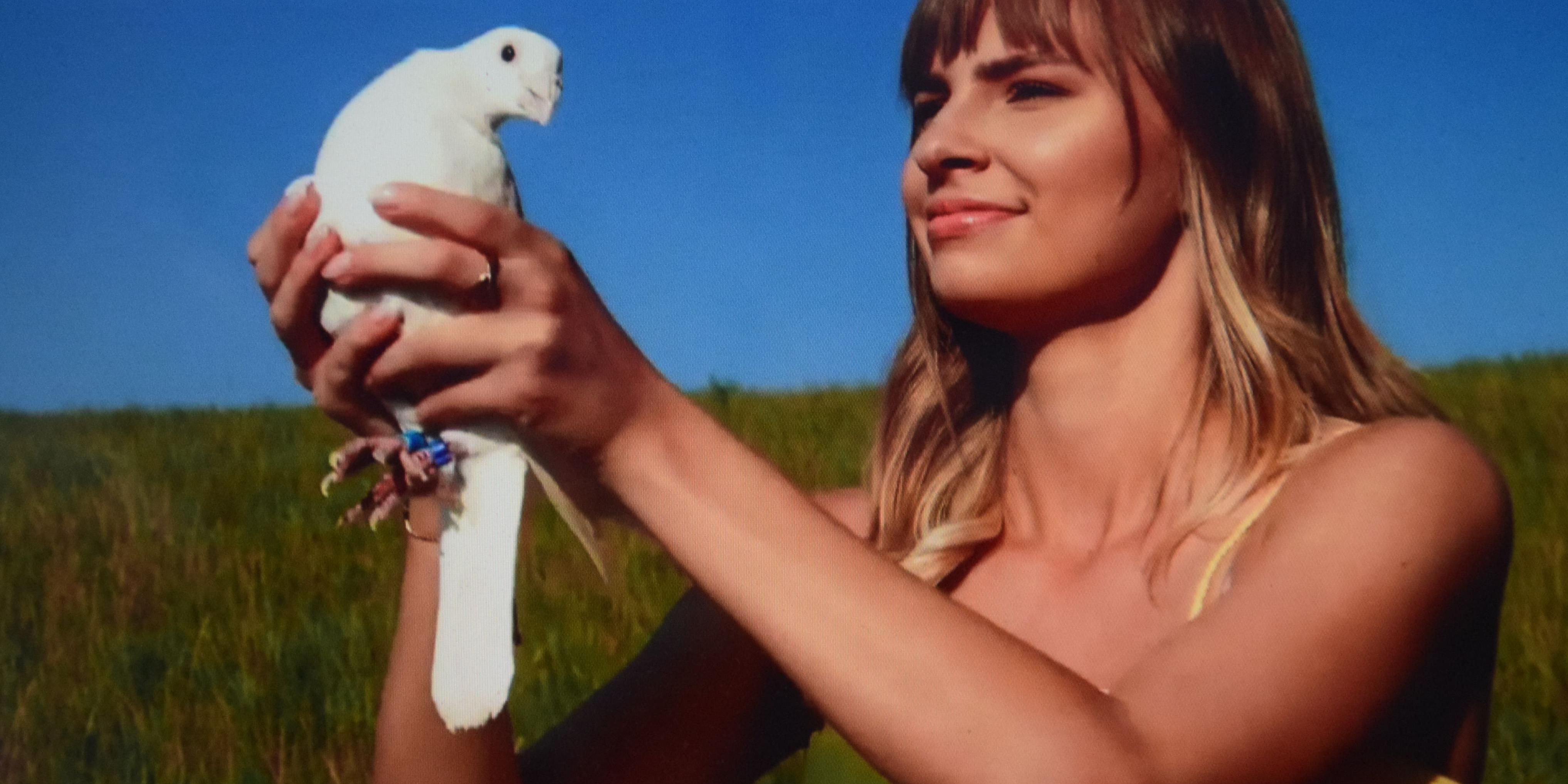 FILMthuer Festival am 2. November im Schillerhof-Kino