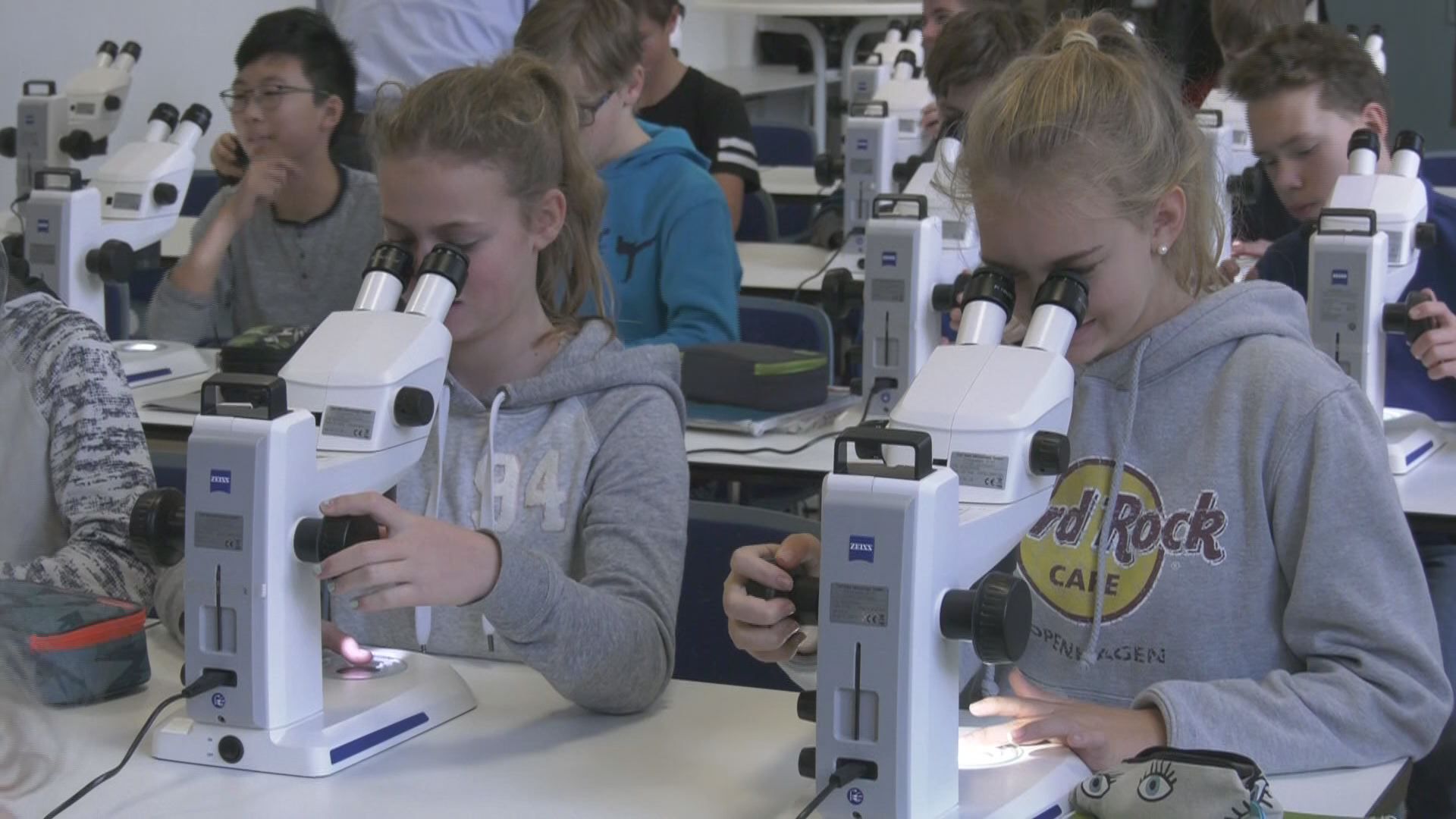 Mini-Objekte erkunden: ZEISS veranstaltet wieder Kindertage der Mikroskopie