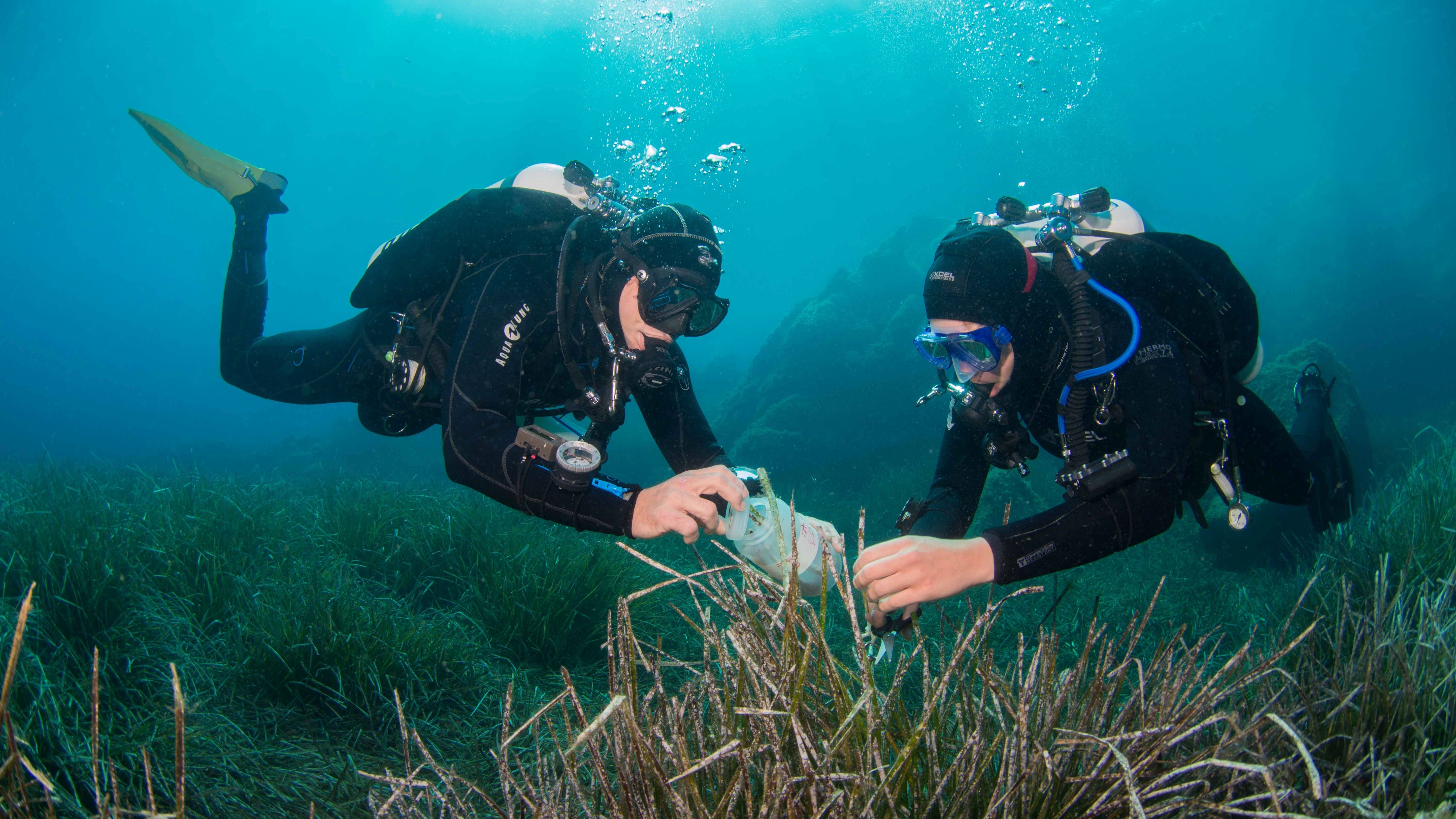 Potenzielle Quelle für neue Antibiotika