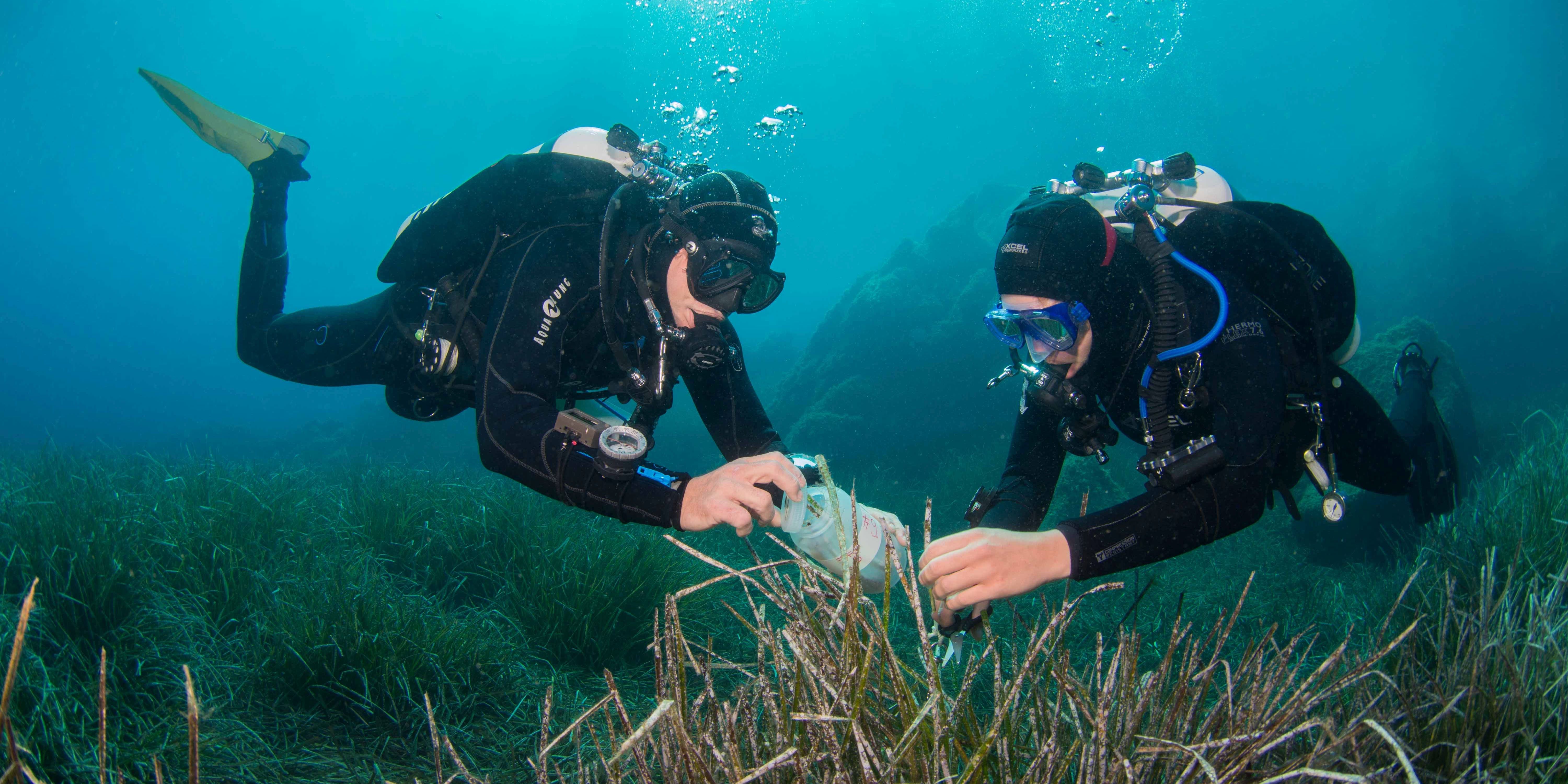 Potenzielle Quelle für neue Antibiotika