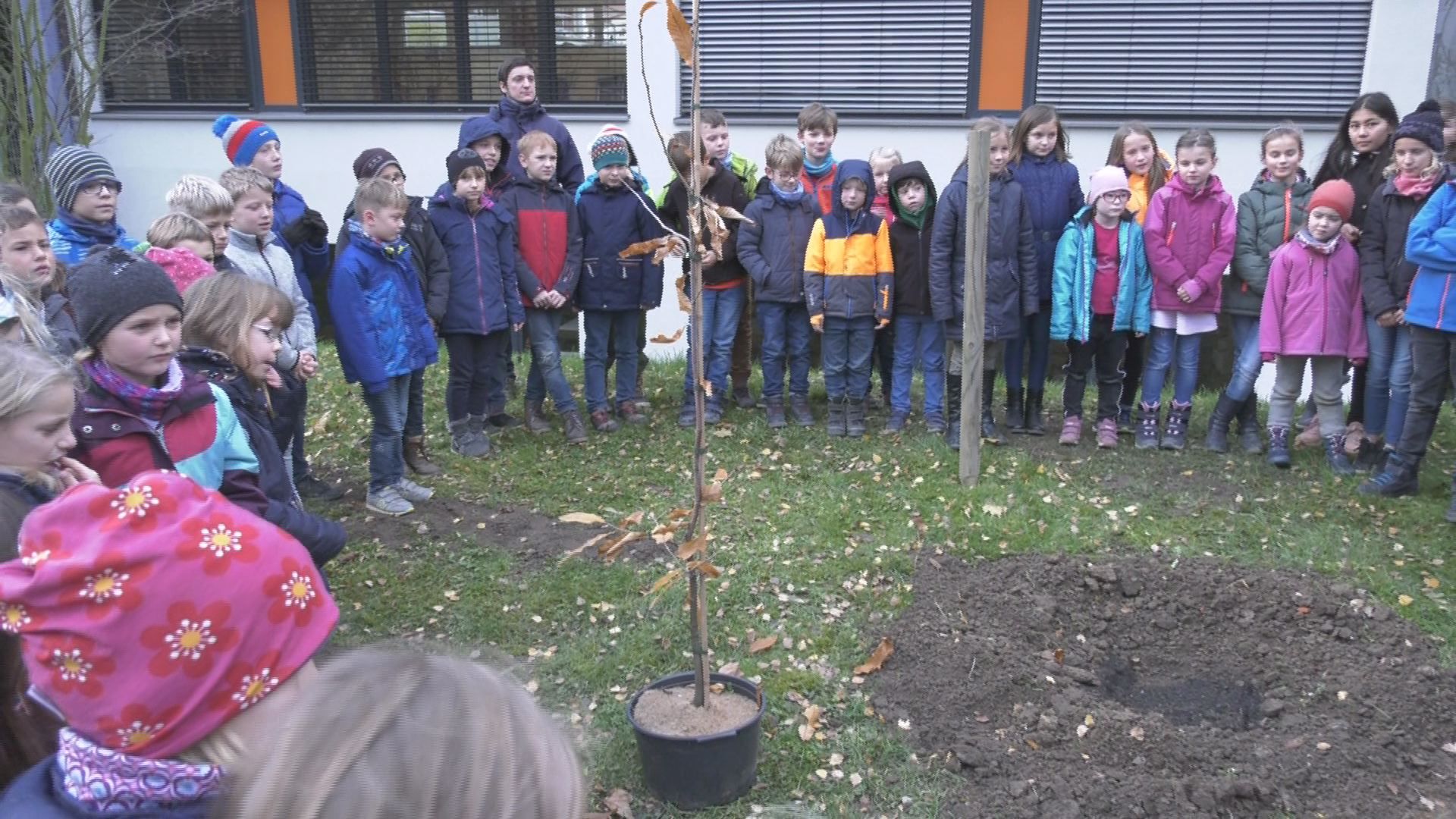 Heidi-Fischer-Stiftung: An der Heinrich-Heine-Schule wurde heute ein Baum gepflanzt