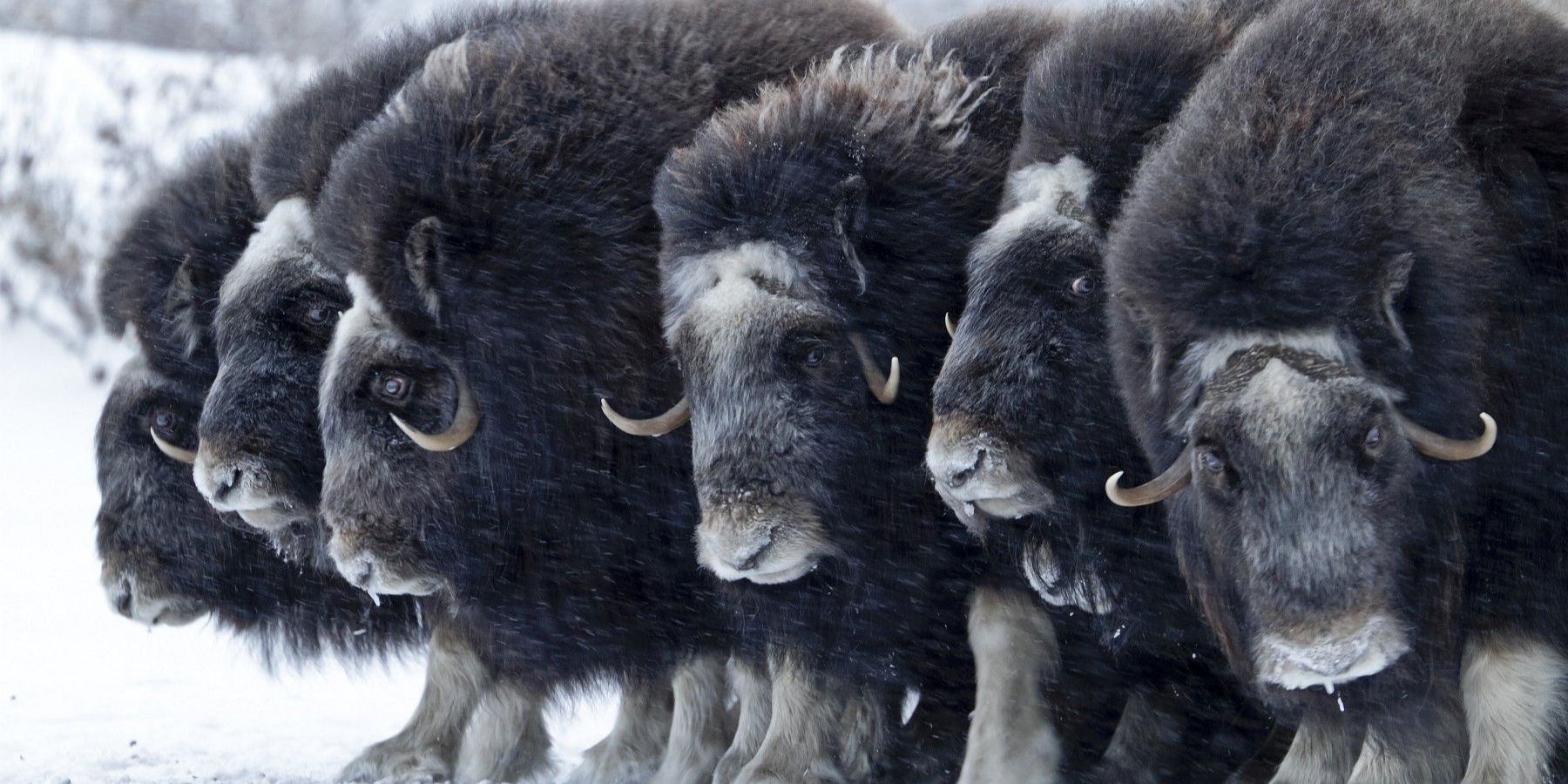 18. Lichtbildarena lädt am Wochenende ein