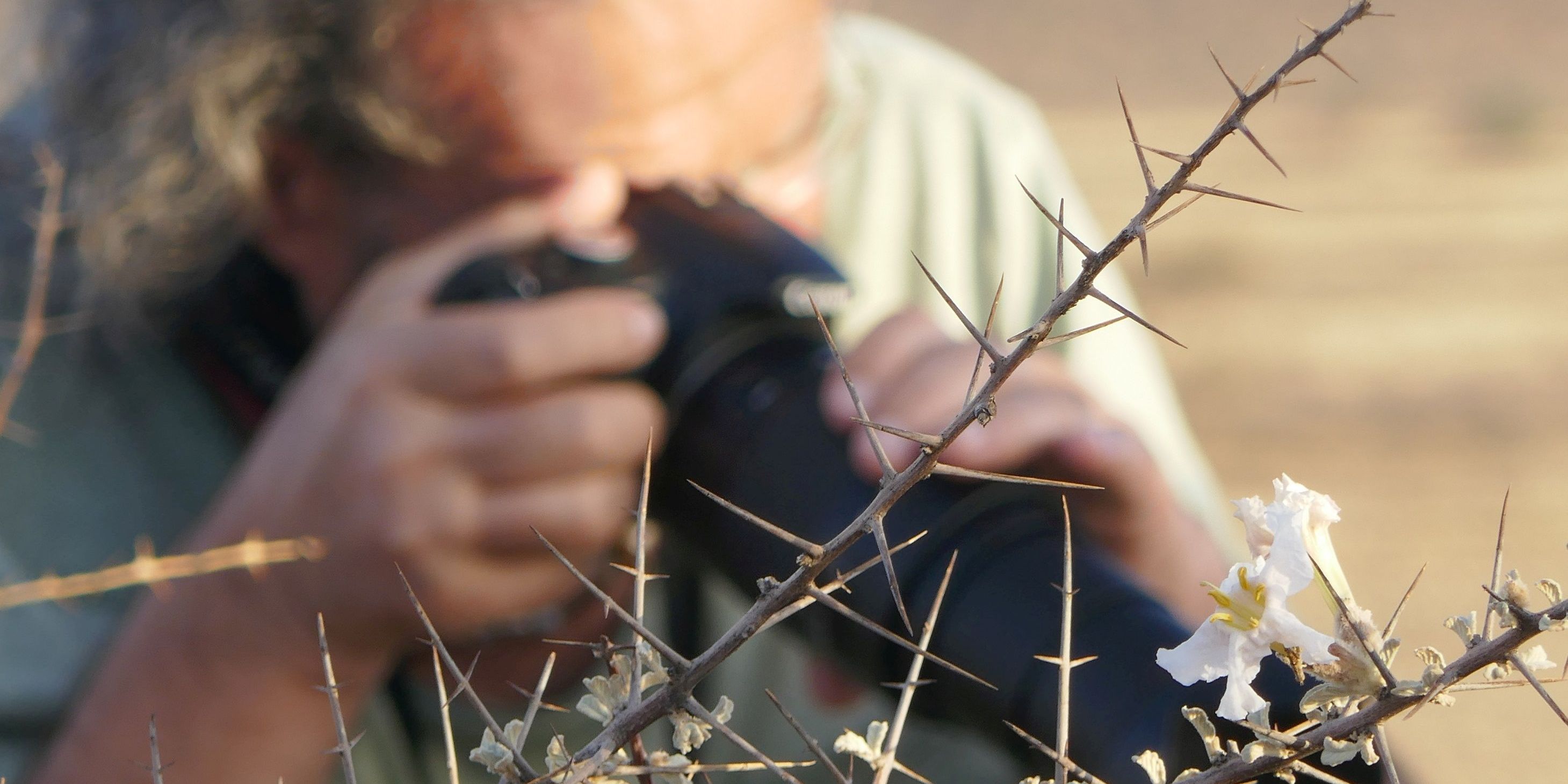 Malerei und Fotografie von Wolfgang Jeschonnek