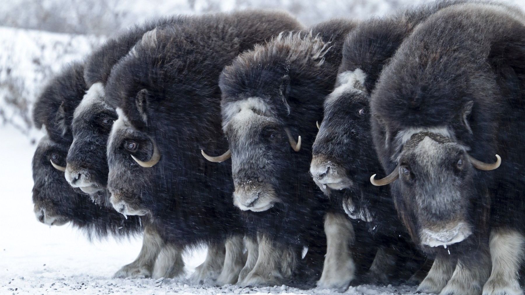 18. Lichtbildarena lädt am Wochenende ein